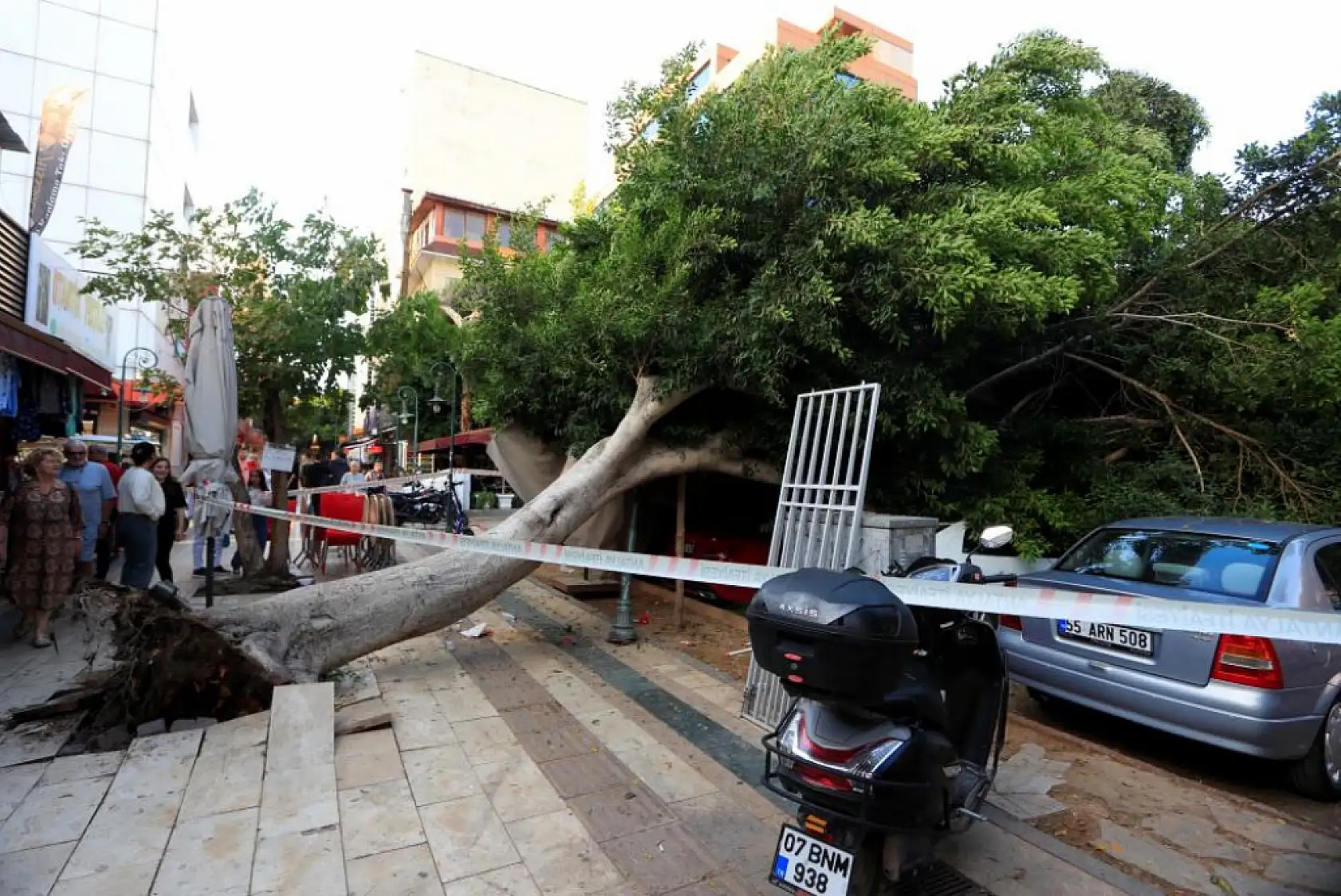 Devrilen ağaç 5 araca zarar verdi: Bir kişi son anda kurtuldu