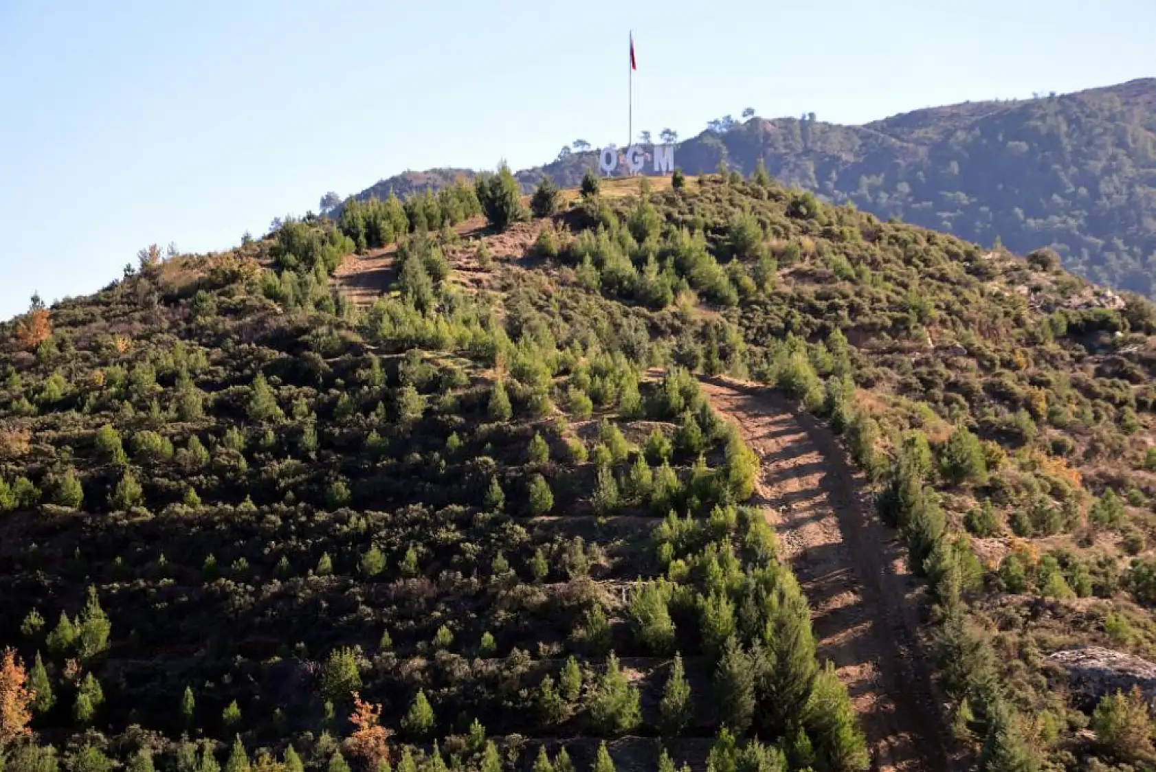 Dalaman Göcek Yangın Sahasında 450 Bin Fidan Toprakla Buluştu