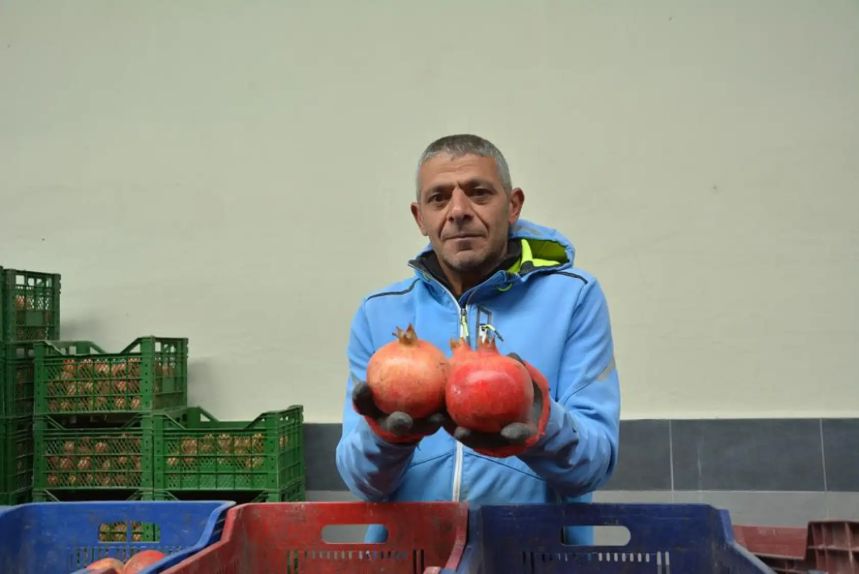 Fethiye ve Antalya Narları Rusya Sofralarında
