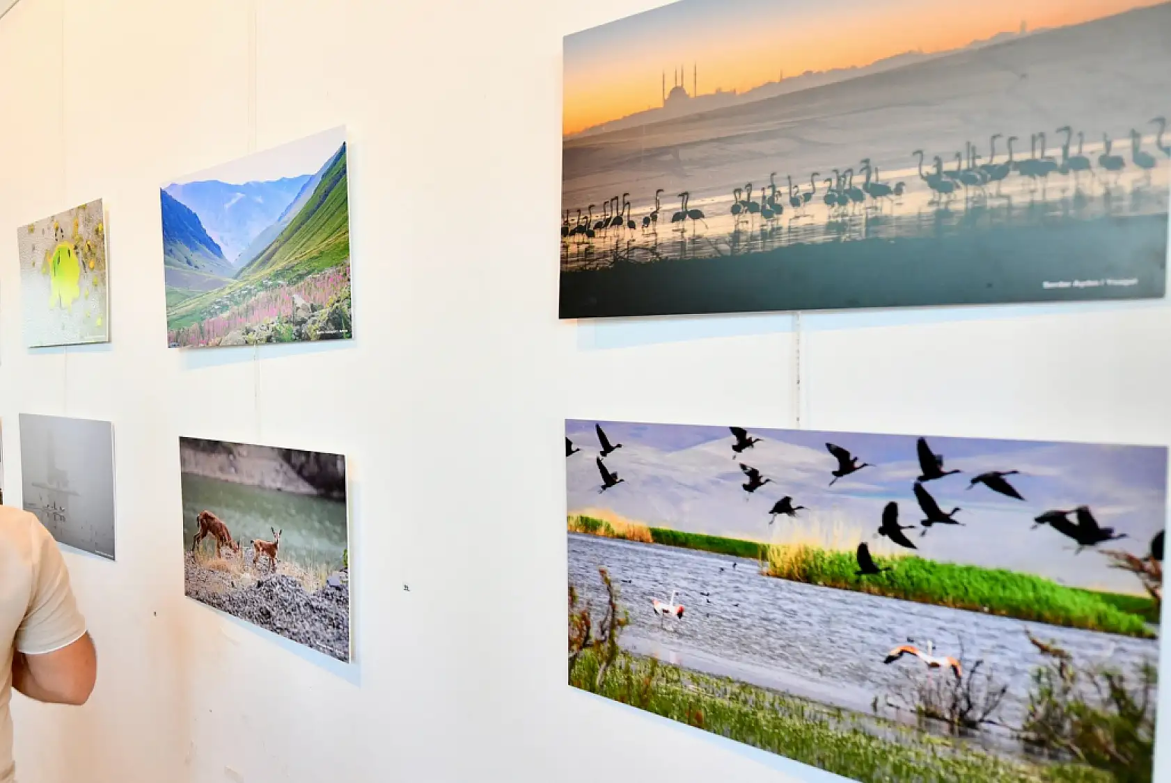 Fethiye'de Dostlar Fotoğraf Grubu 'İklim Değişirken Türkiye' adlı sergi açıldı