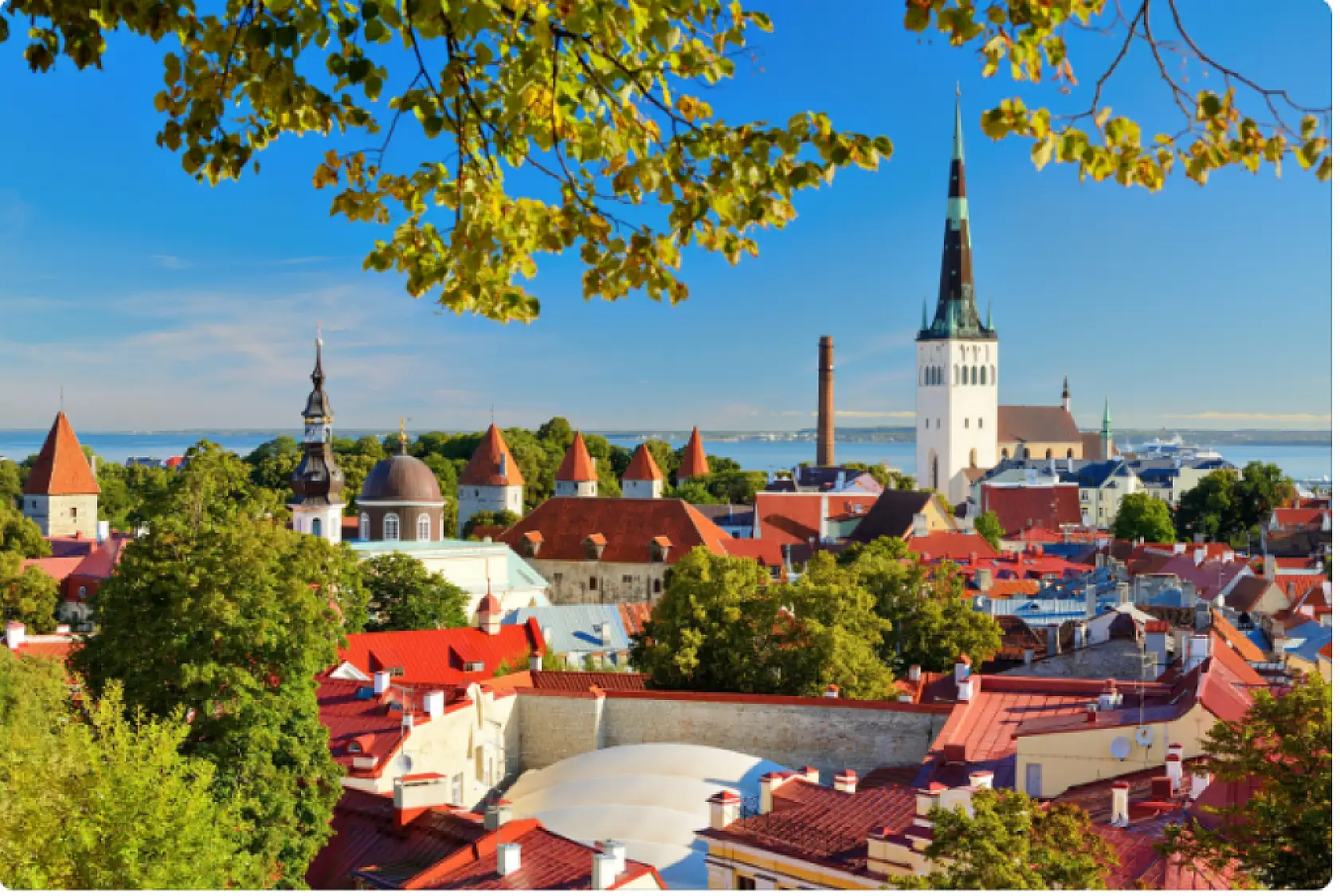 Türkiye'ye en çok vize reddi veren ülkeler belli oldu