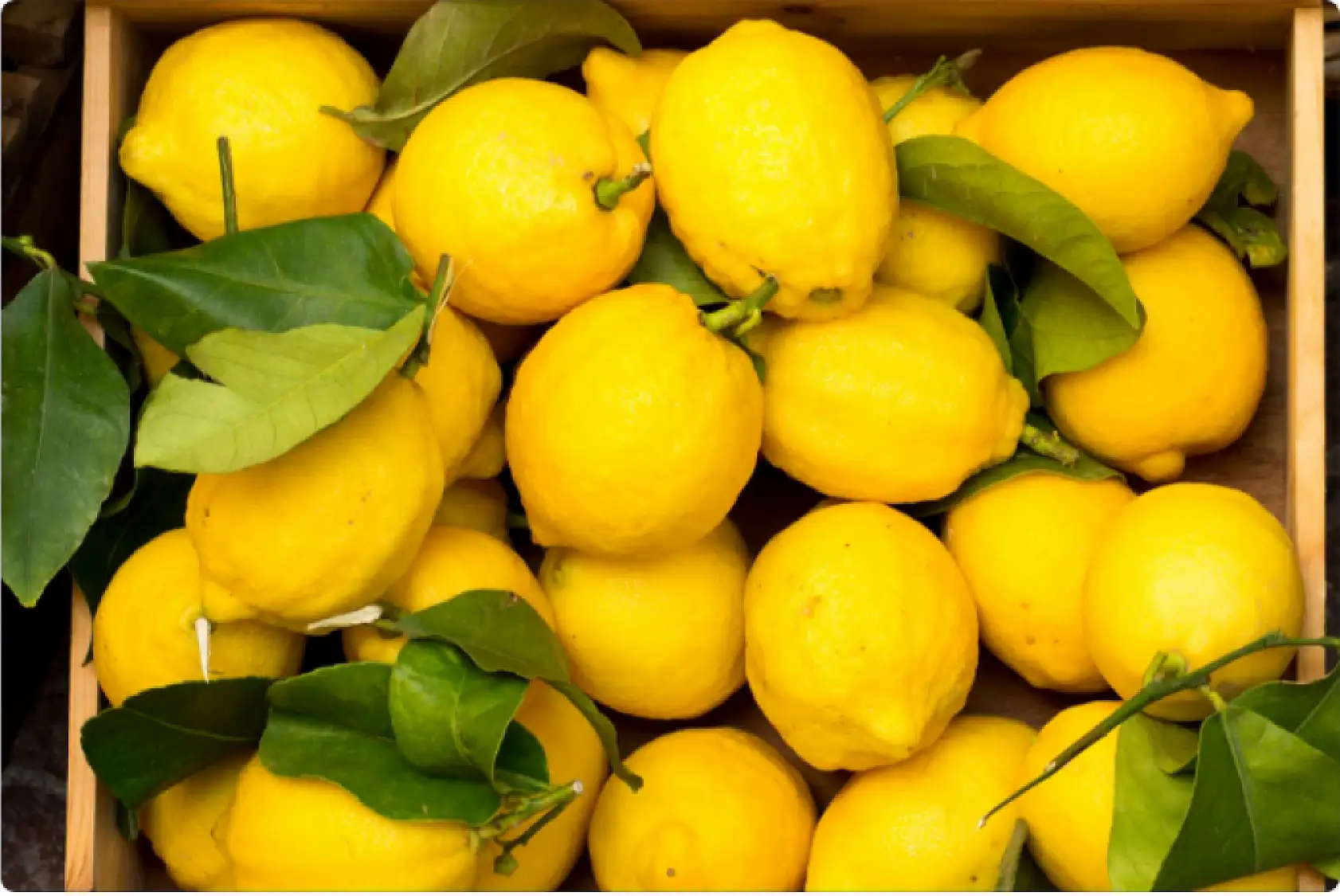 Bakanlık'tan şok karar! Limon İhracatı durduruldu