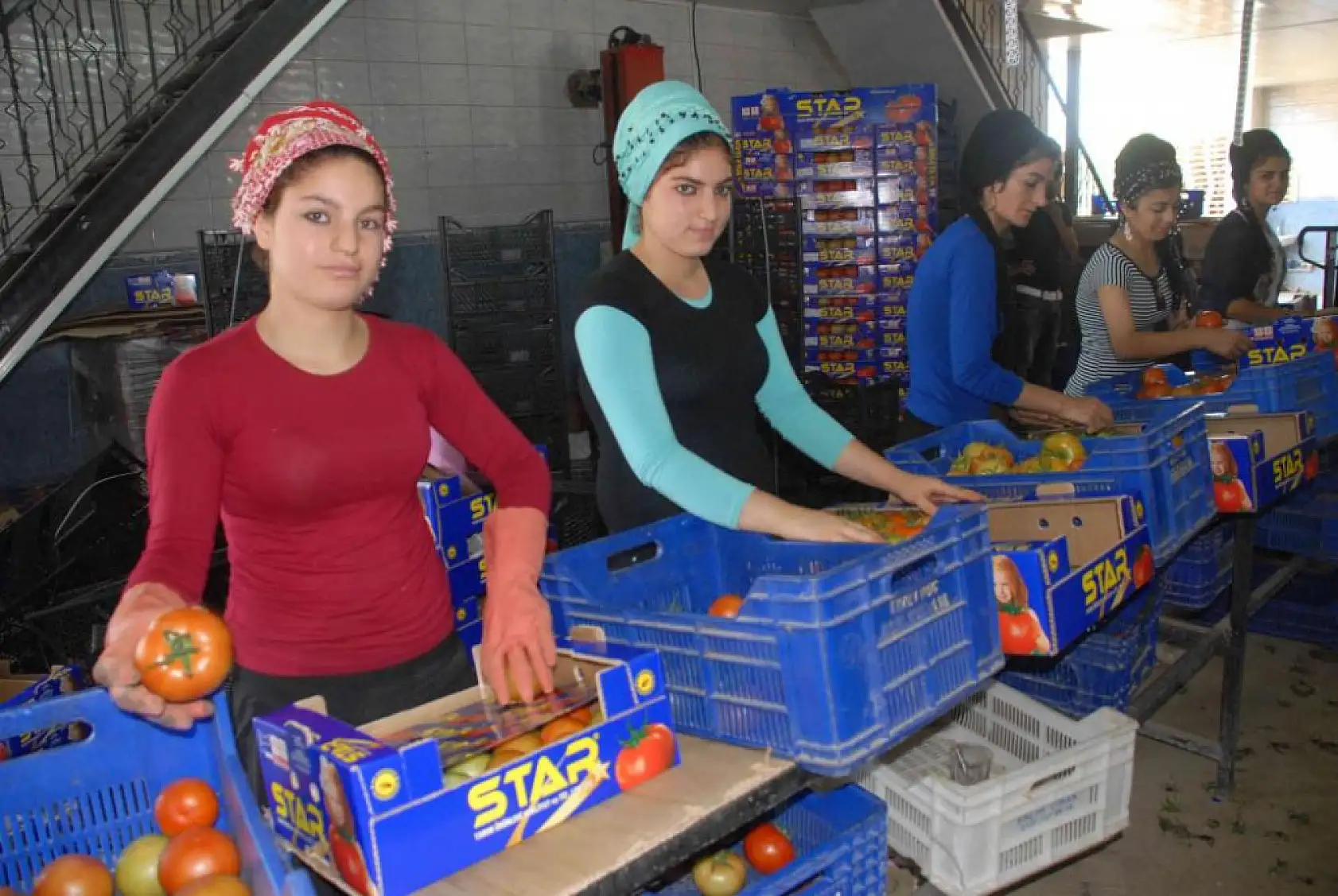 Nisan ayında Muğla'dan ülke ekonomisine 95,2 milyon dolarlık ihracat katkısı