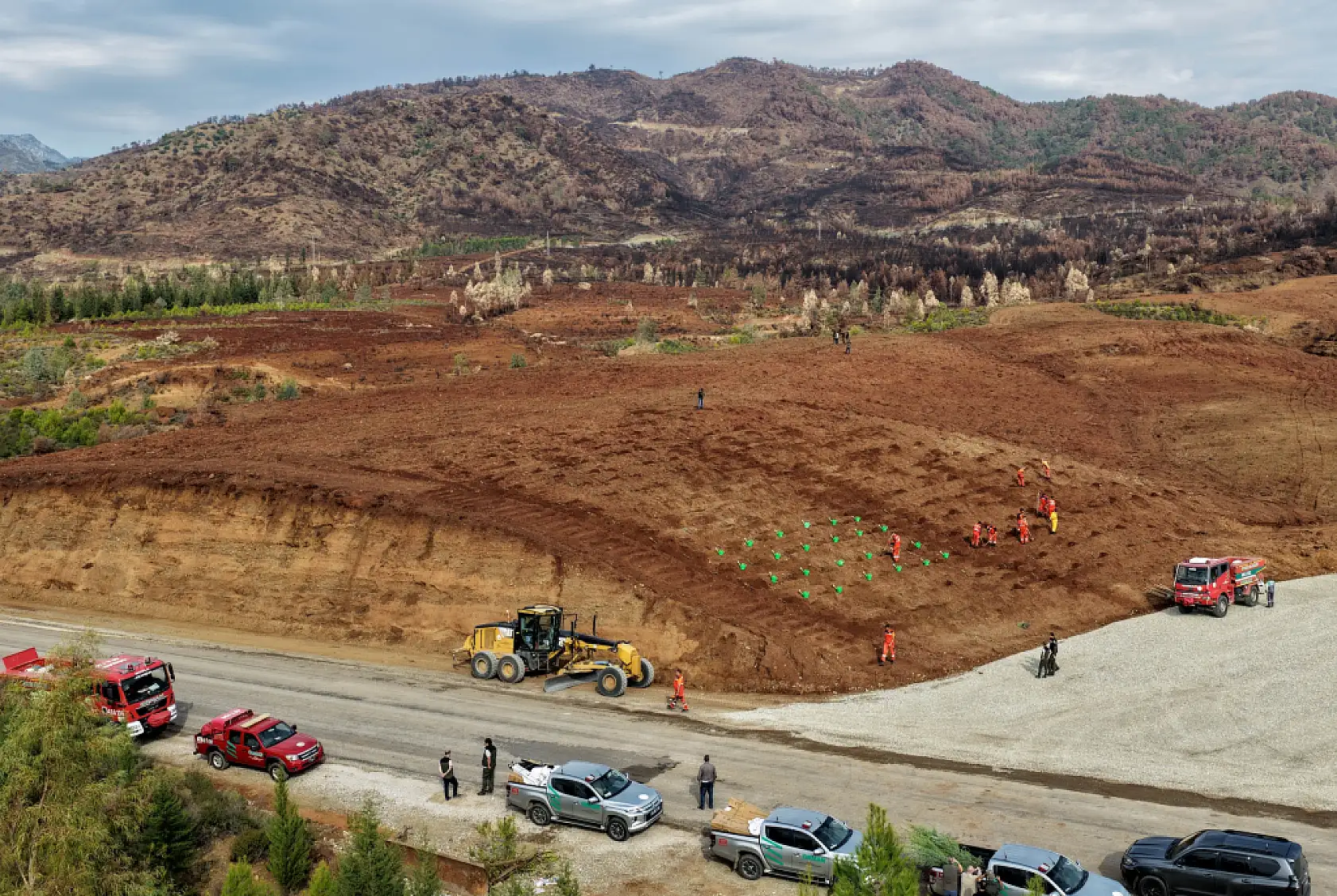 Muğla Orman Bölge Müdürlüğü Yeşil Vatan Seferberliğine Hazır