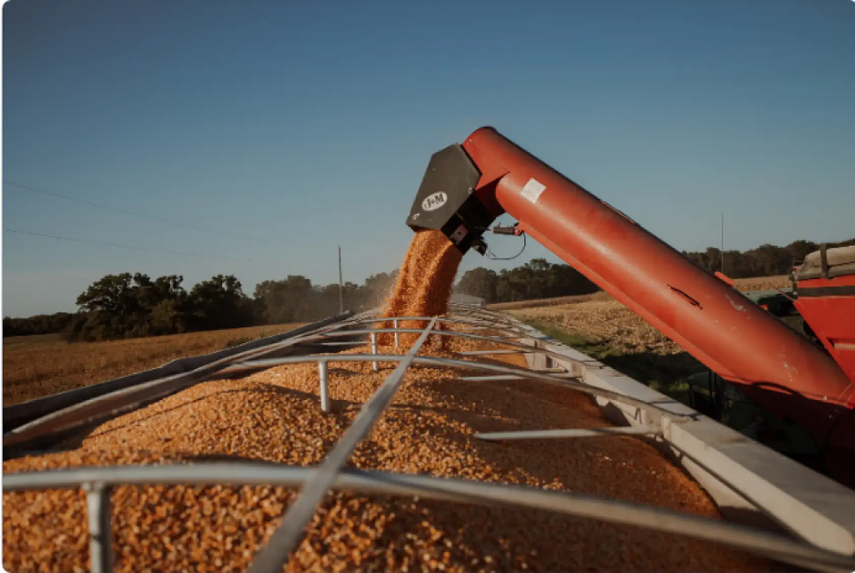 Küresel tahıl üretimi artıyor! 2025/2026 sezonu tahminleri açıklandı