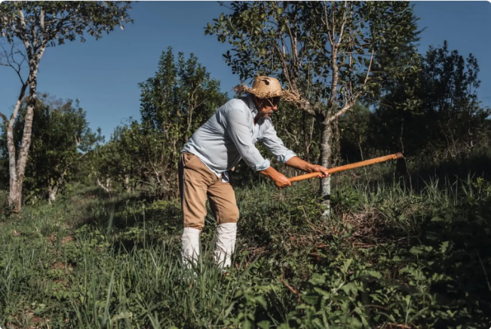 Tarım işçilerinin ortalama günlük ücretleri 2024 yılında yüzde 84,2 arttı