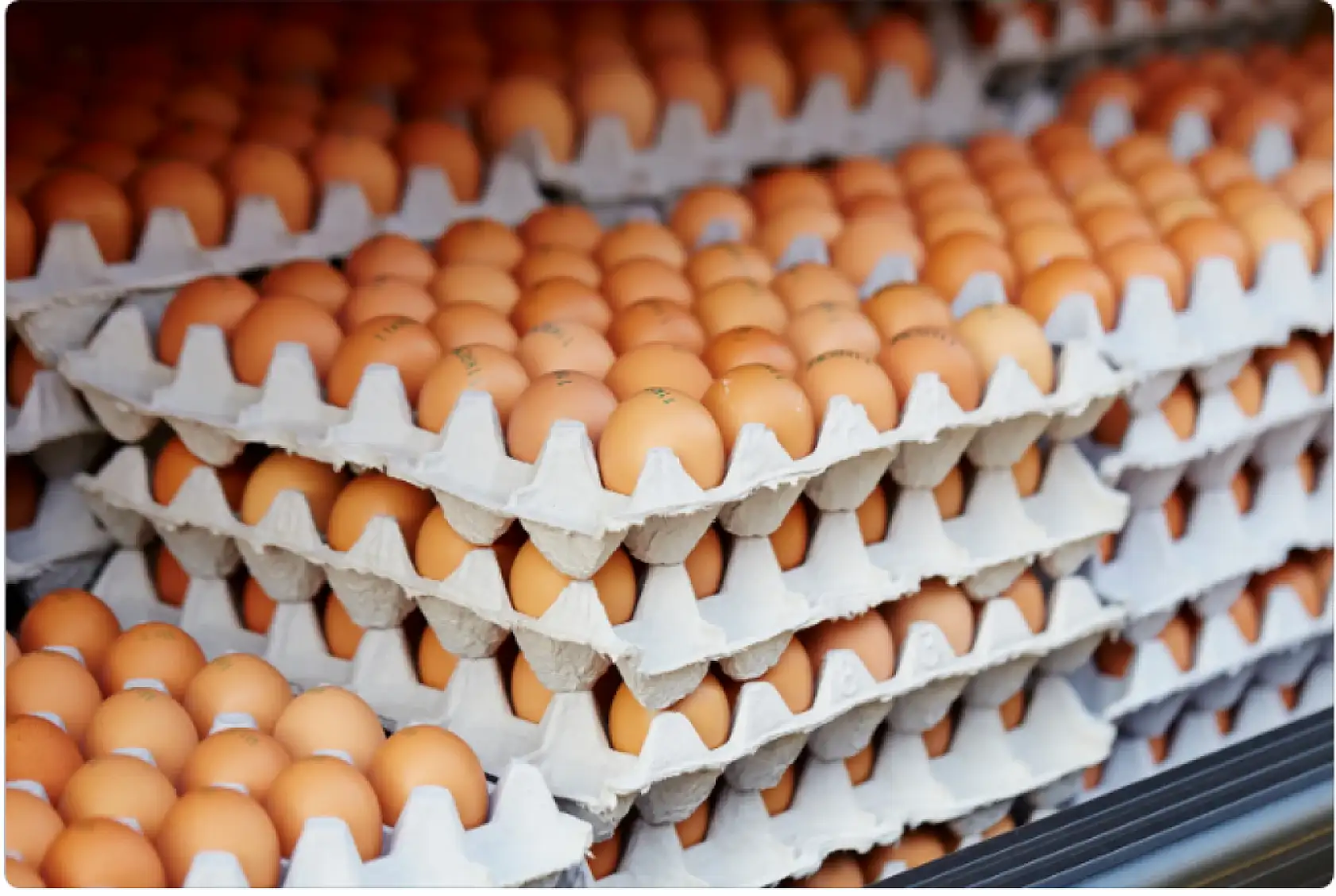 Yumurtayı sadece kahvaltılık sanmayın! Sanayide 4 kat değerli