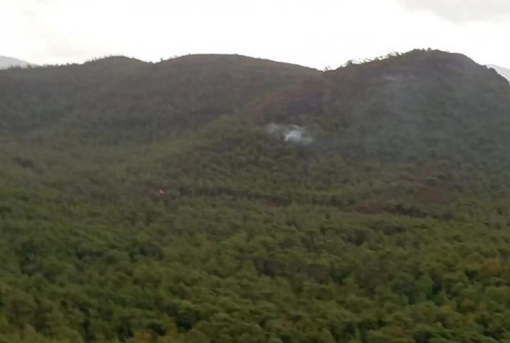 Yıldırım kaynaklı çıkan orman yangını kontrol altına alındı