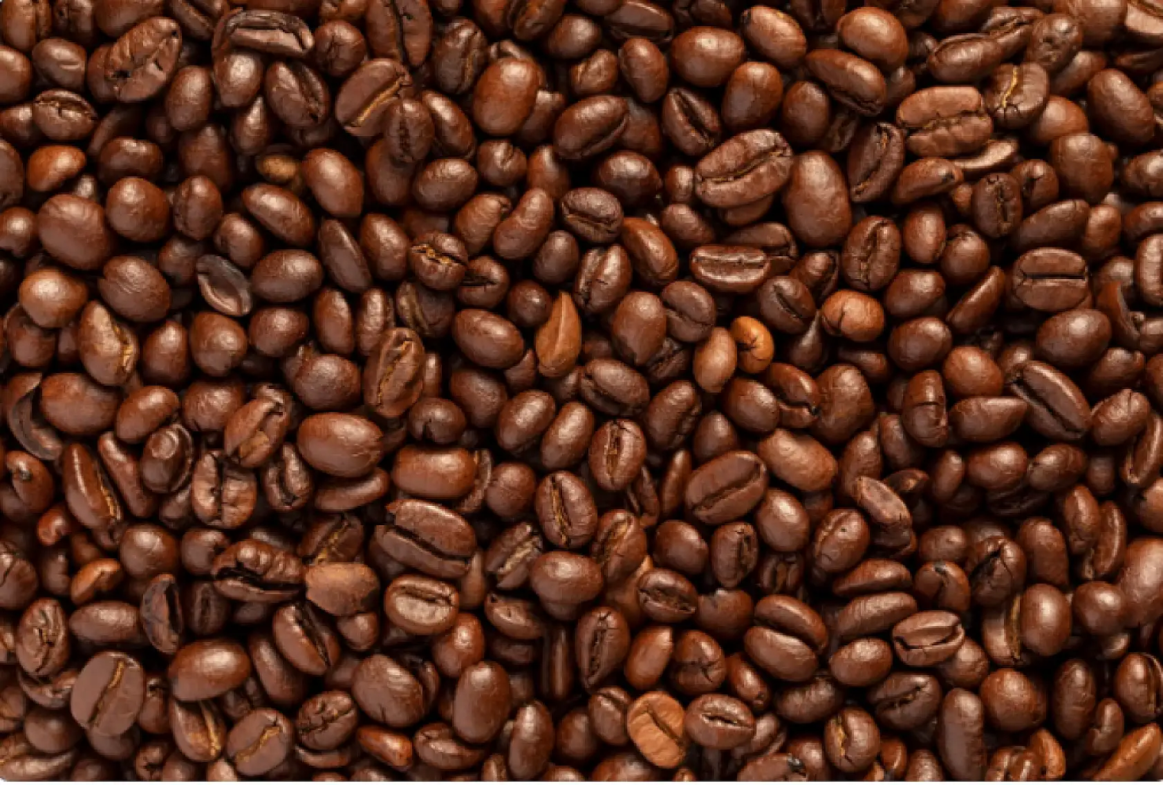 Kahve fiyatları iklim değişikliği nedeniyle artıyor