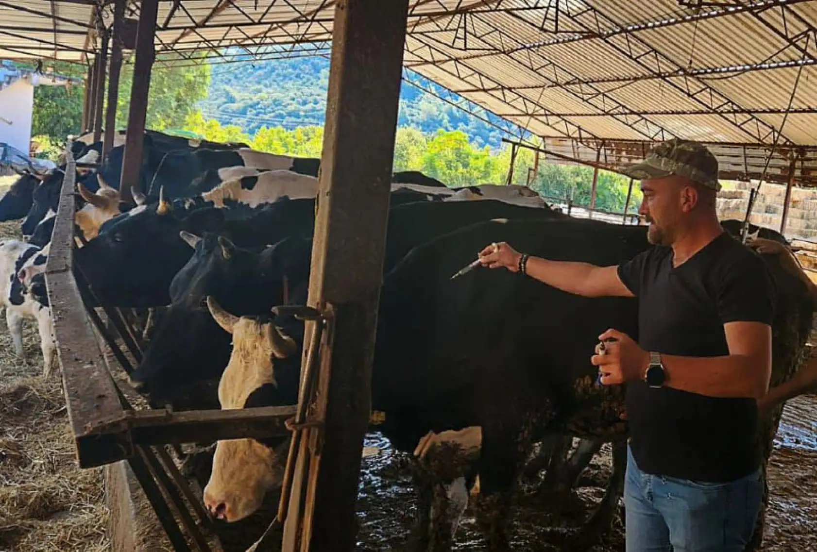 Ortaca'da hayvan sağlığı çalışmaları hızla devam ediyor
