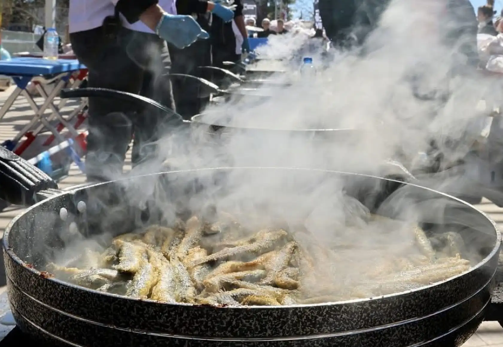 Muğla'da düzenlenen şölende 5 ton hamsi dağıtıldı