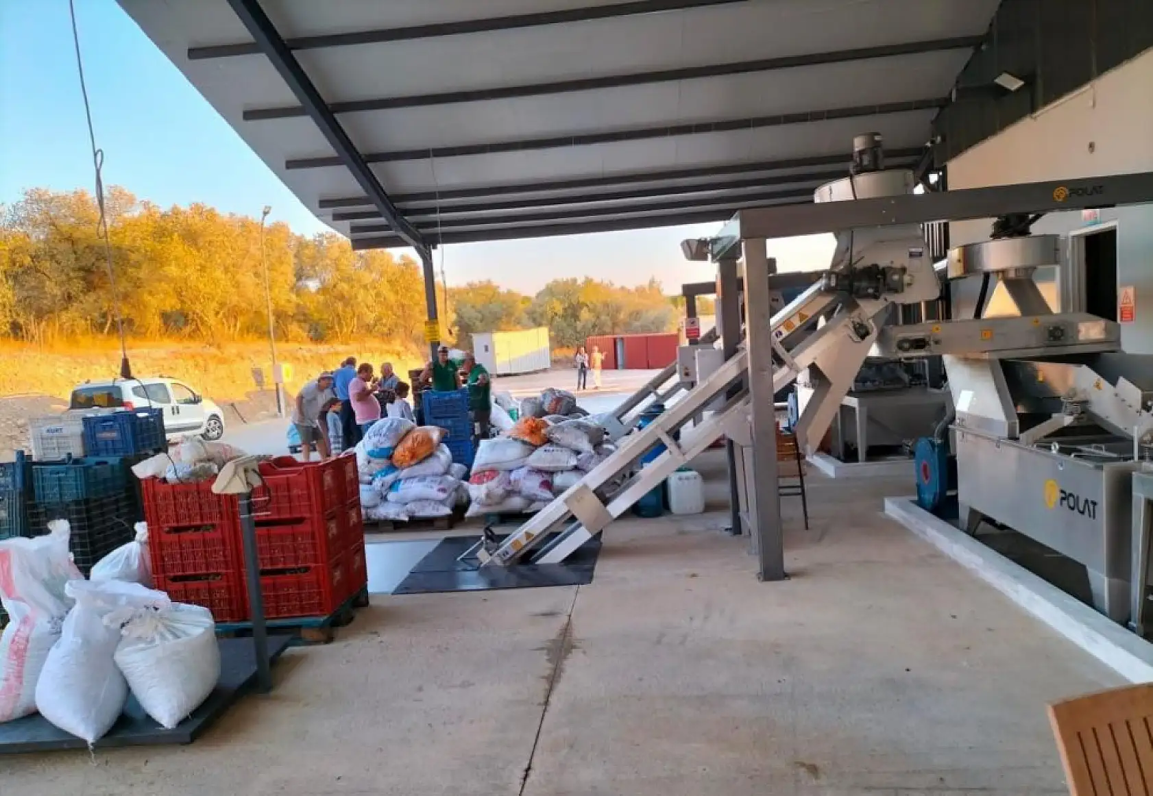 Köyceğiz'de zeytinyağı mesaisi başladı