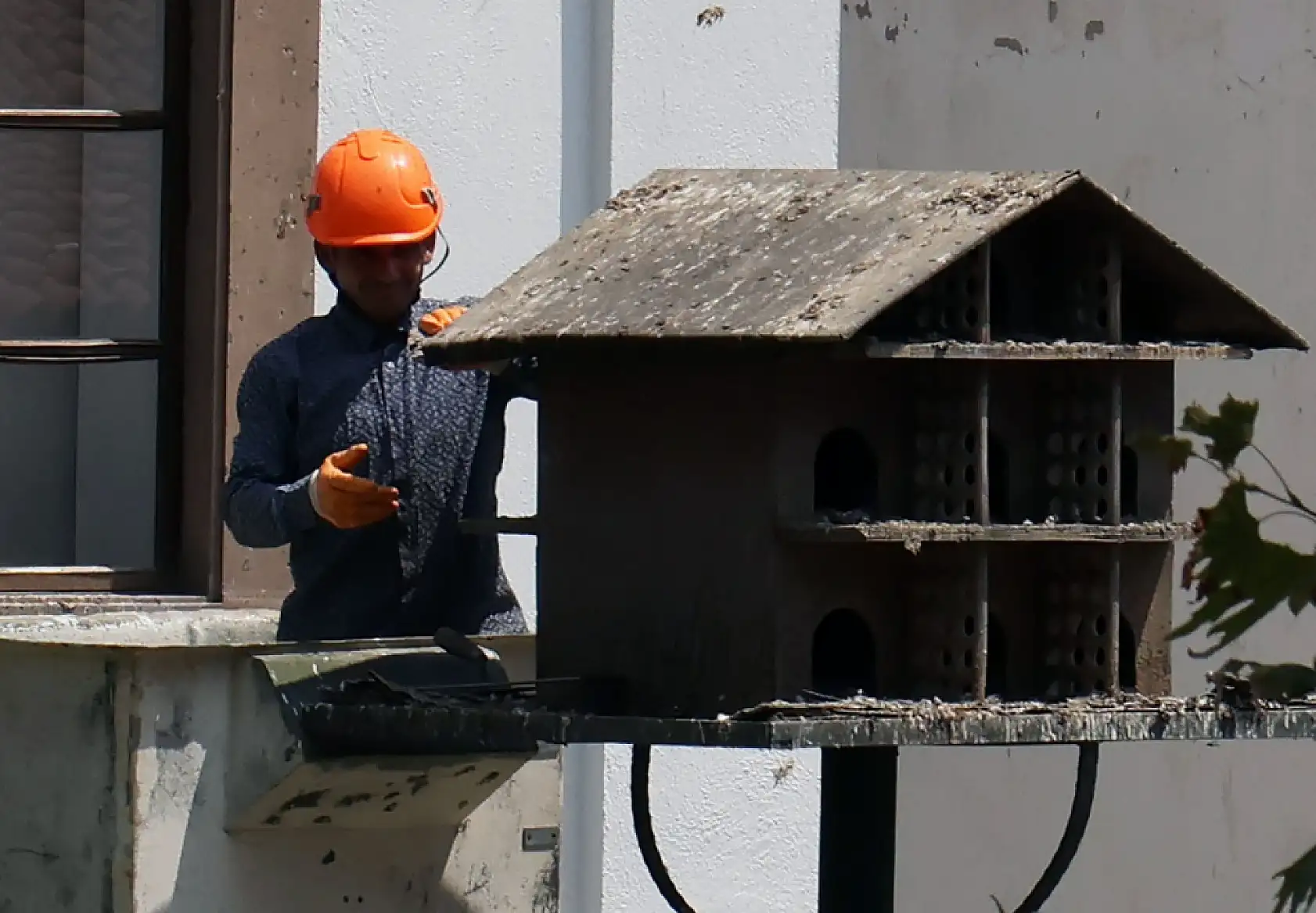 Menteşe'de güvercin yuvalarında temizlik yapıldı