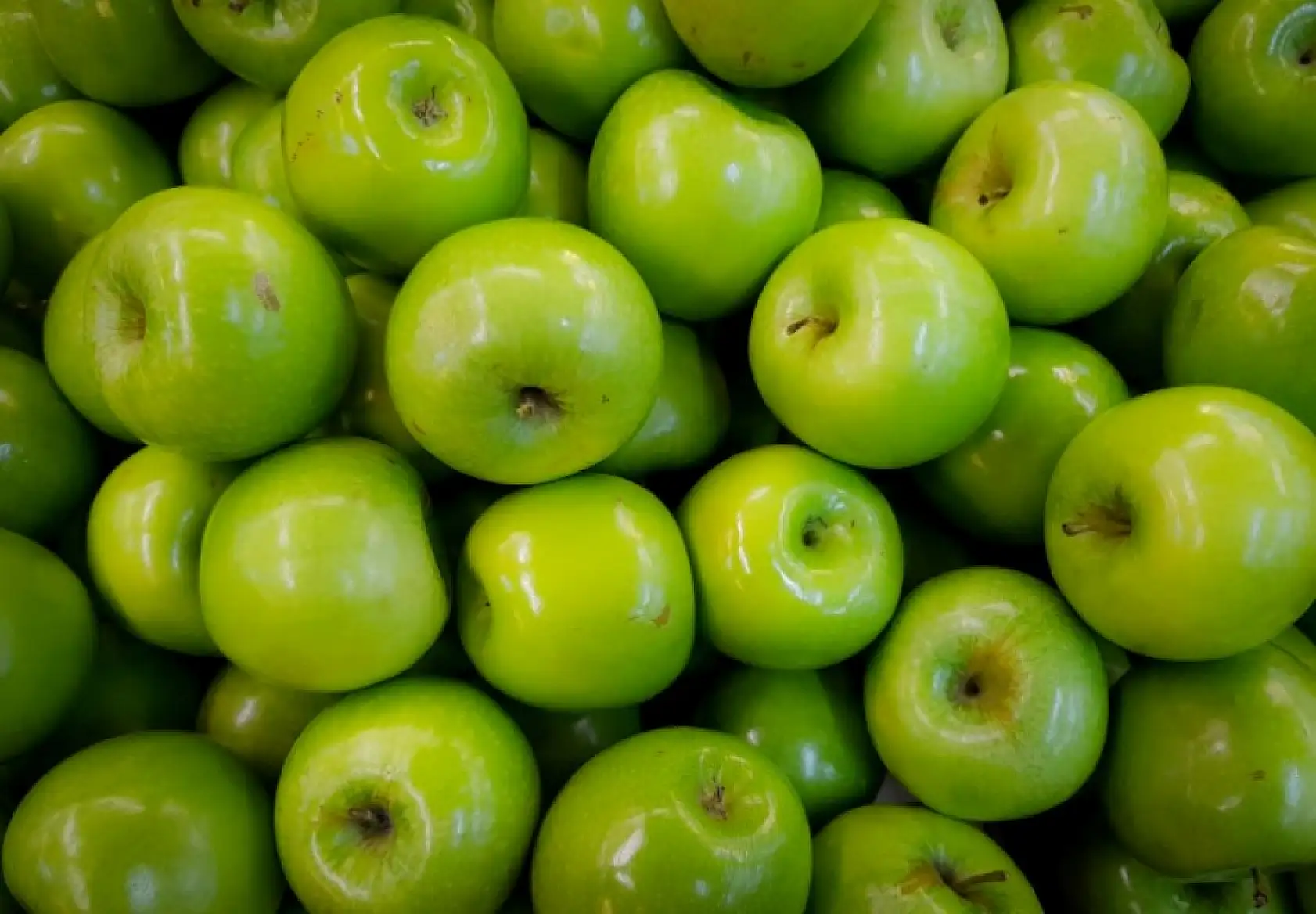 Elma ve elma suyu ihracatı 321 milyon dolara ulaştı