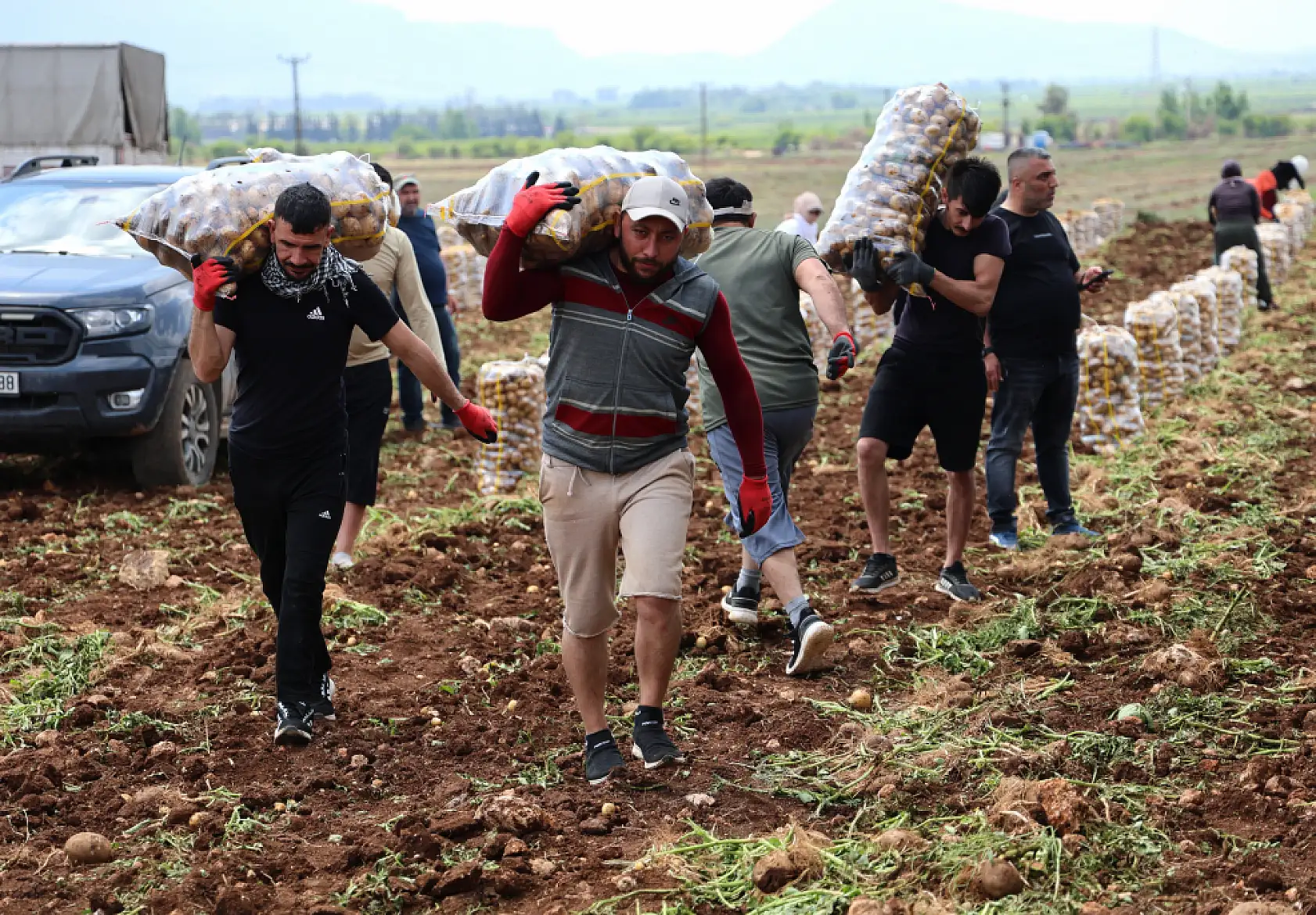 Bunlar özel işçiler: Günlük 250-300 ton patates yükleyip 2 bin 500 TL kazanıyorlar