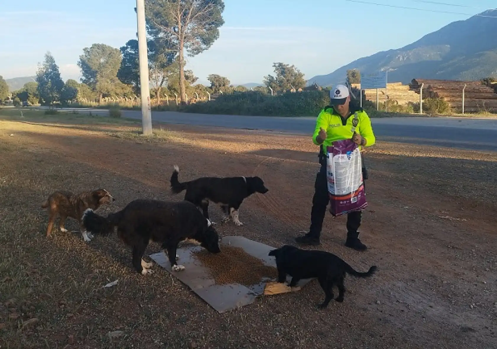 Fethiye polisi sokak hayvanlarını unutmadı