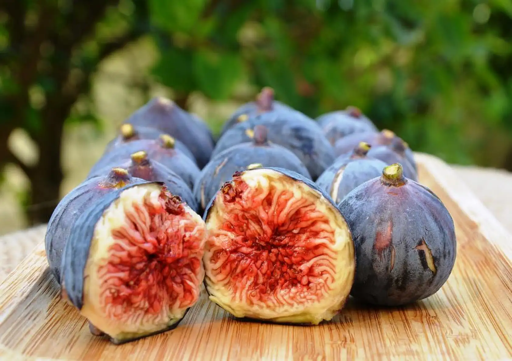 Fethiye Kaya İnciri'ne AB Tescili İçin İlk Adım Tamam