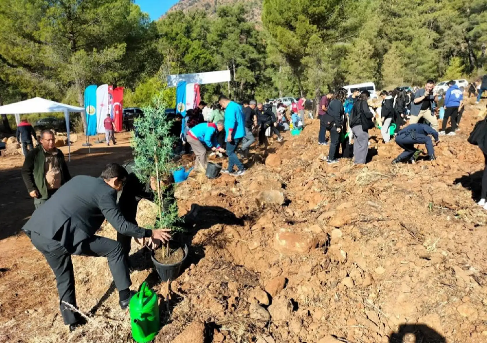 Köyceğiz'de bin 111 fidan dikildi