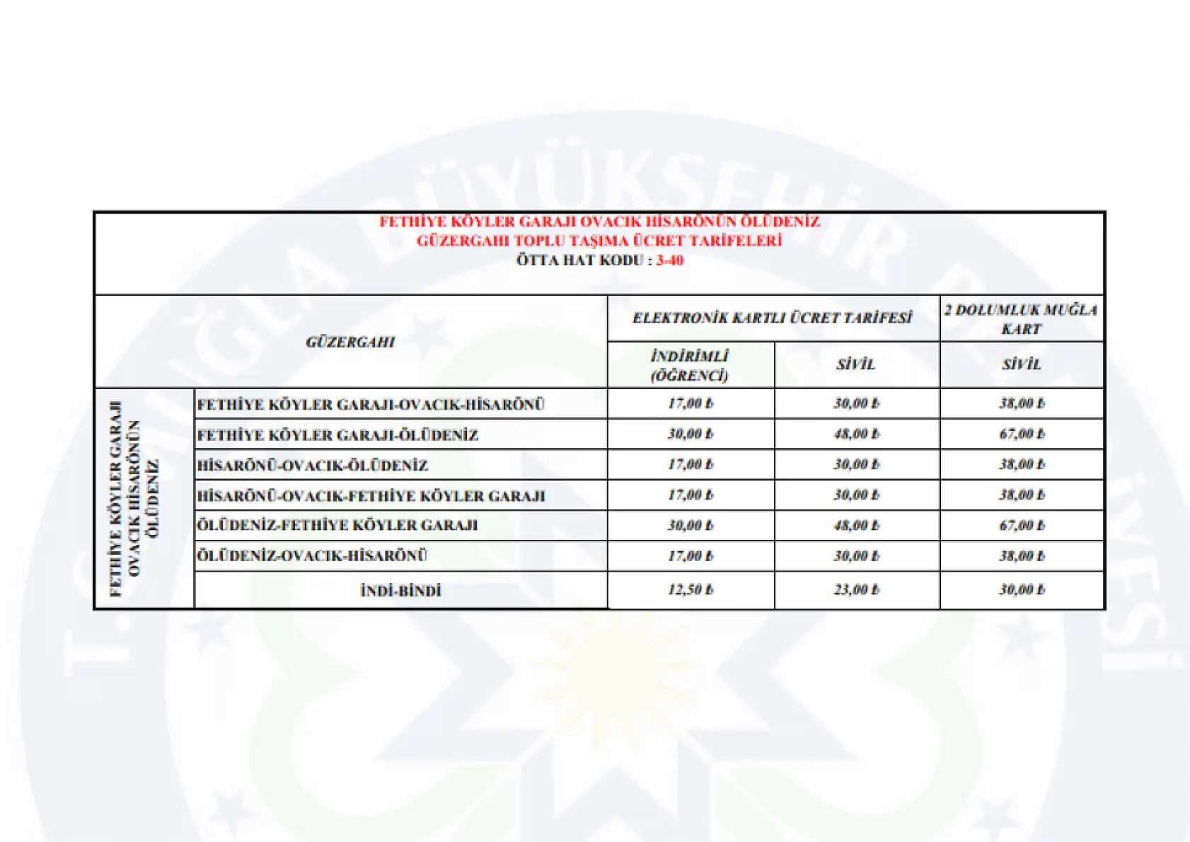Fethiye'de dolmuş ücretlerine zam geldi! Öğrenci, tam ücreti kaç lira oldu? Fethiye, Ölüdeniz, Göcek..