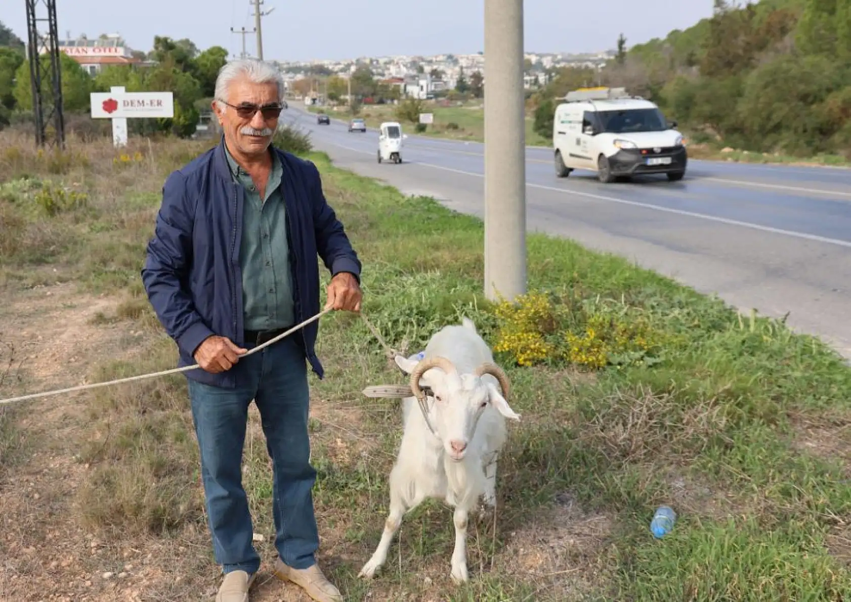Keçileri ile tatil yapıyor