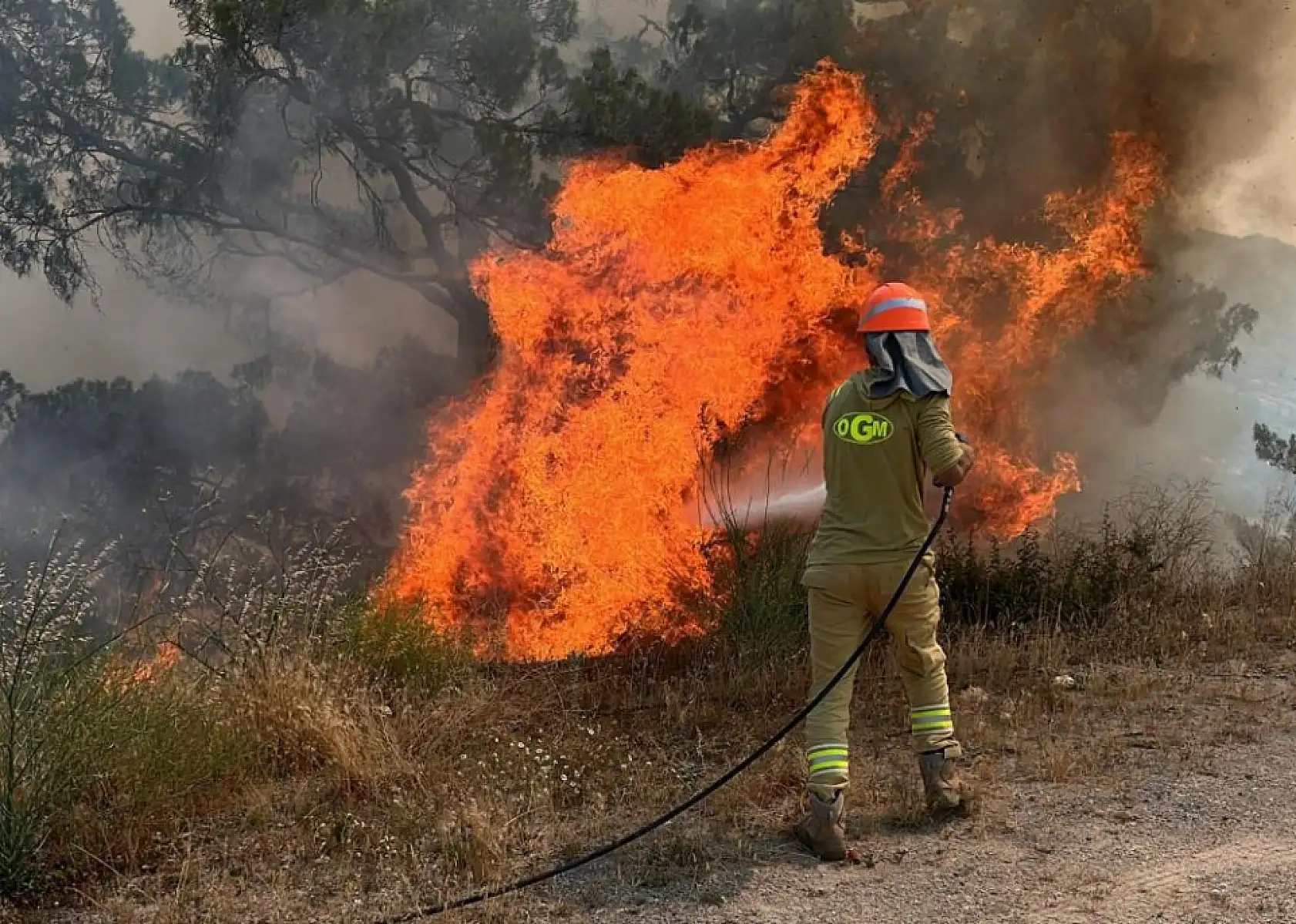 Muğla Yatağan'da orman yangını: 2 hektar alan zarar gördü