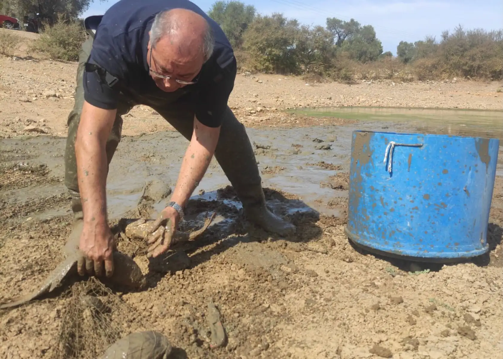 Bodrum'da Kuruyan Göletteki Balıklar Kurtarıldı