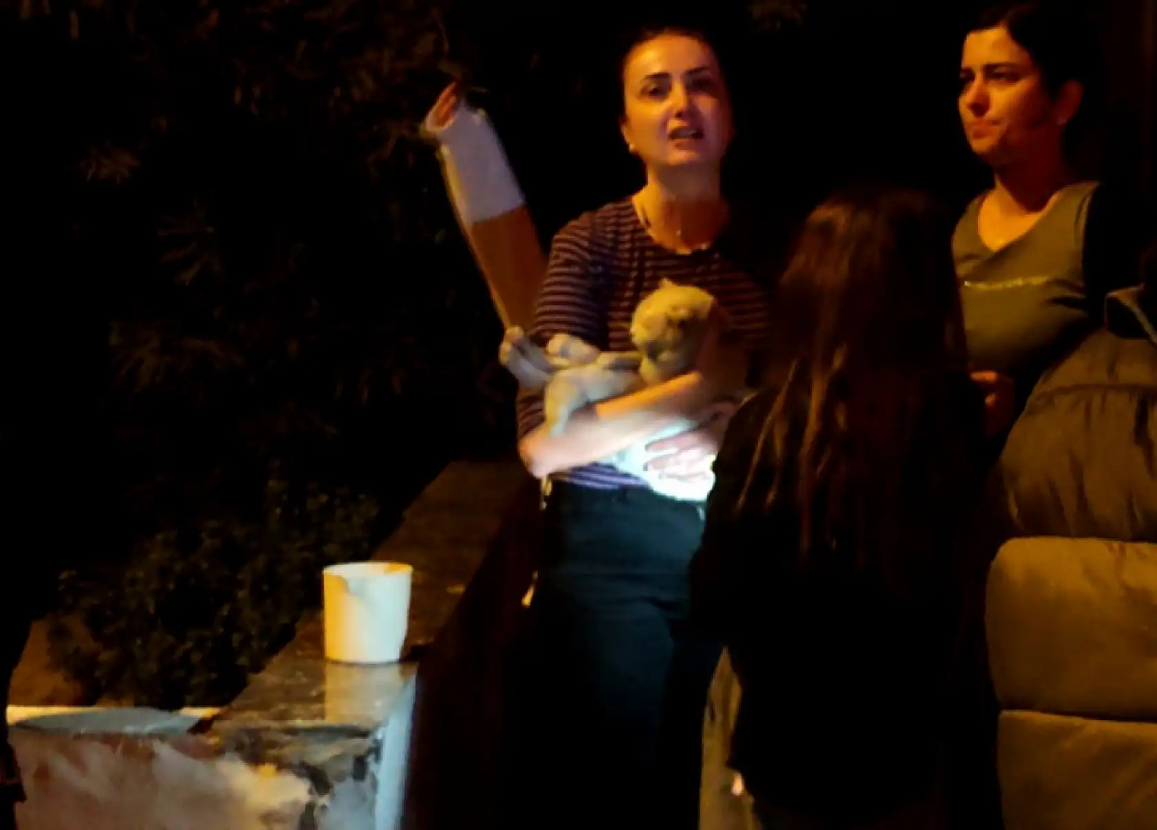 Yangında 2 kedi telef oldu, sahipleri gözyaşlarına boğuldu