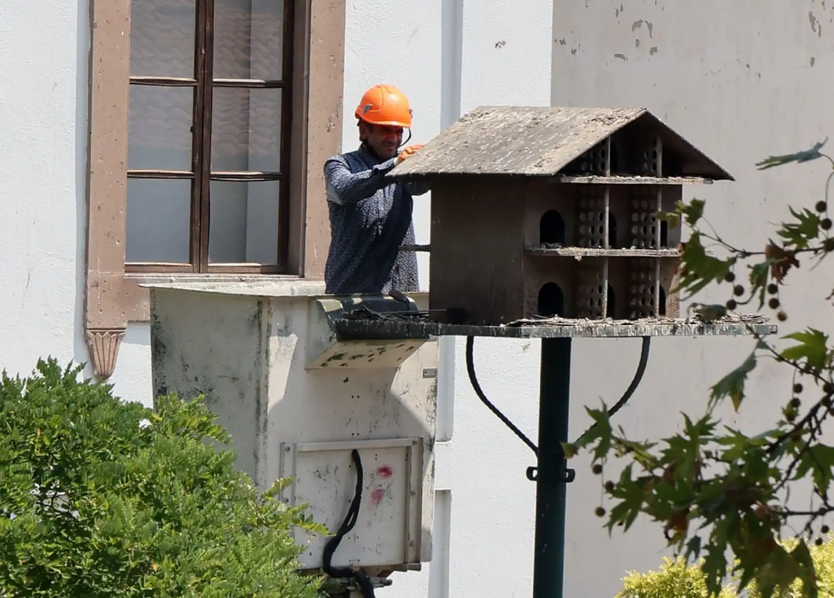Menteşe'de güvercin yuvalarında temizlik yapıldı