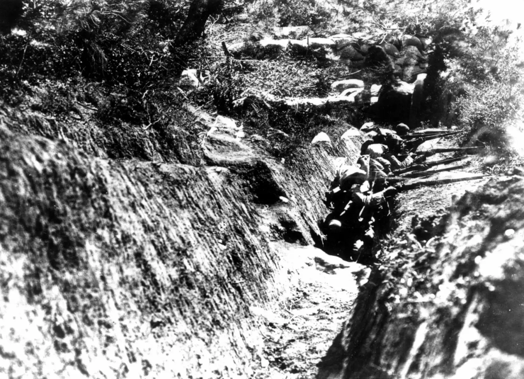 Çanakkale Savaşları'nda Trablusgarp modeli uygulandı