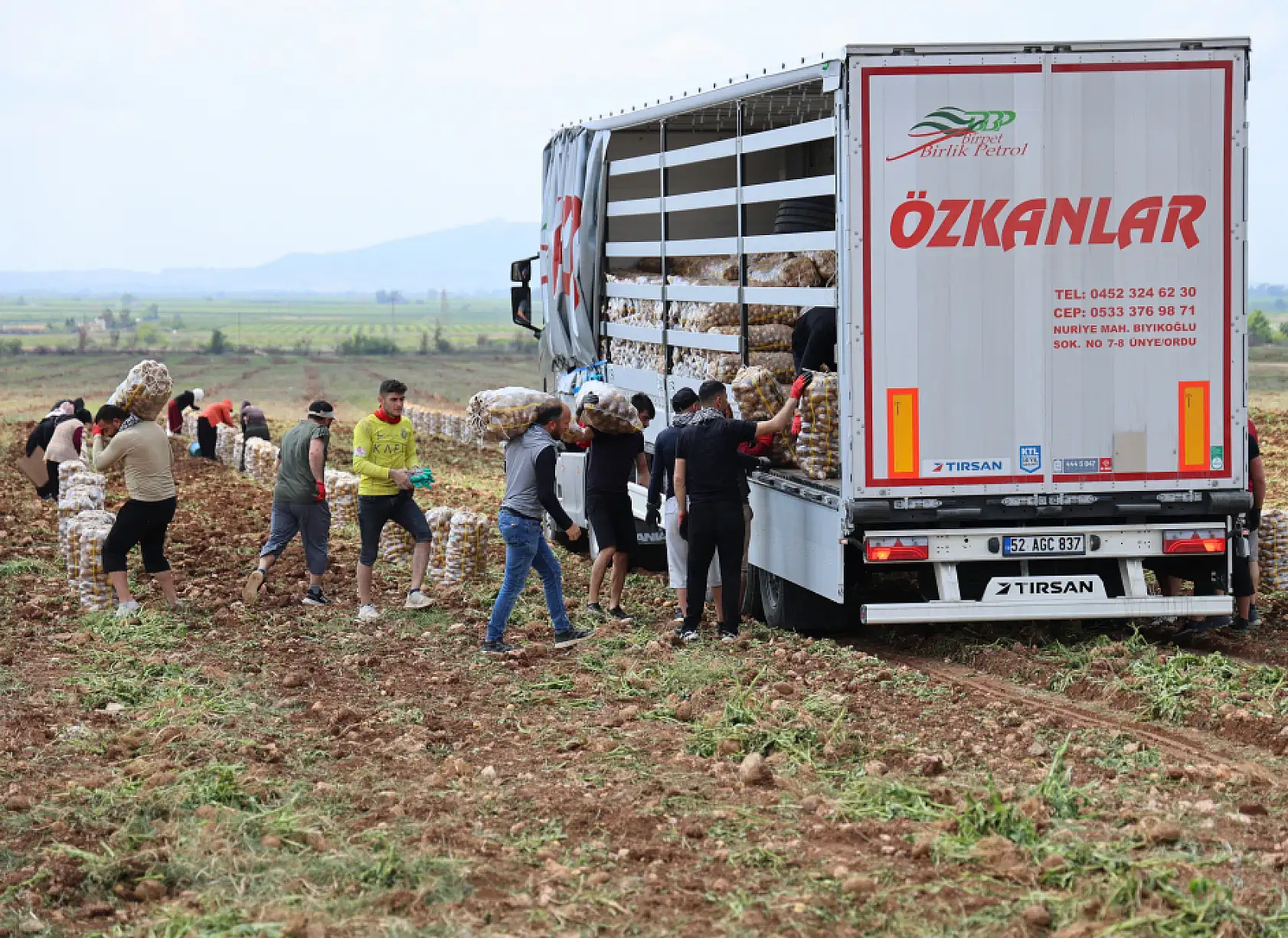 Bunlar özel işçiler: Günlük 250-300 ton patates yükleyip 2 bin 500 TL kazanıyorlar