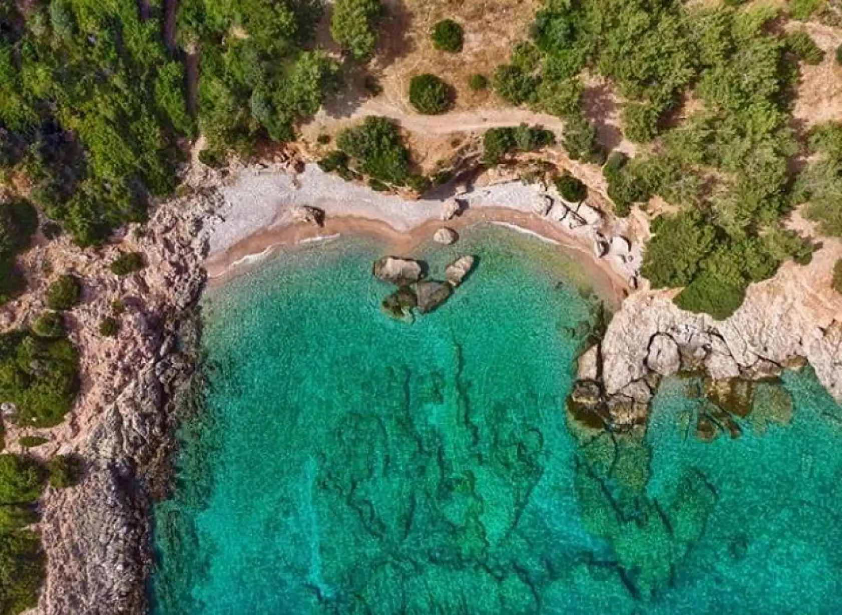 Berrak denizi ile mest ediyor: Gerence Akvaryum Koyu