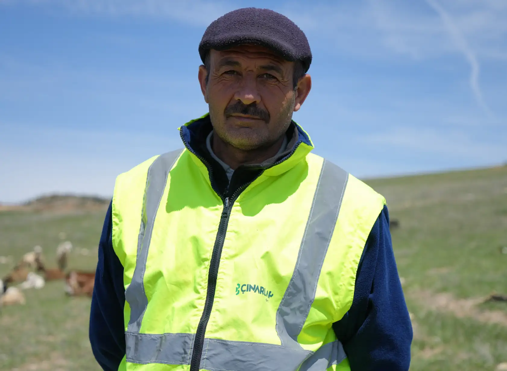 Küçükbaş hayvanların peşinde geçen ömür: 'Çocuklarımız gibi bakıyoruz'