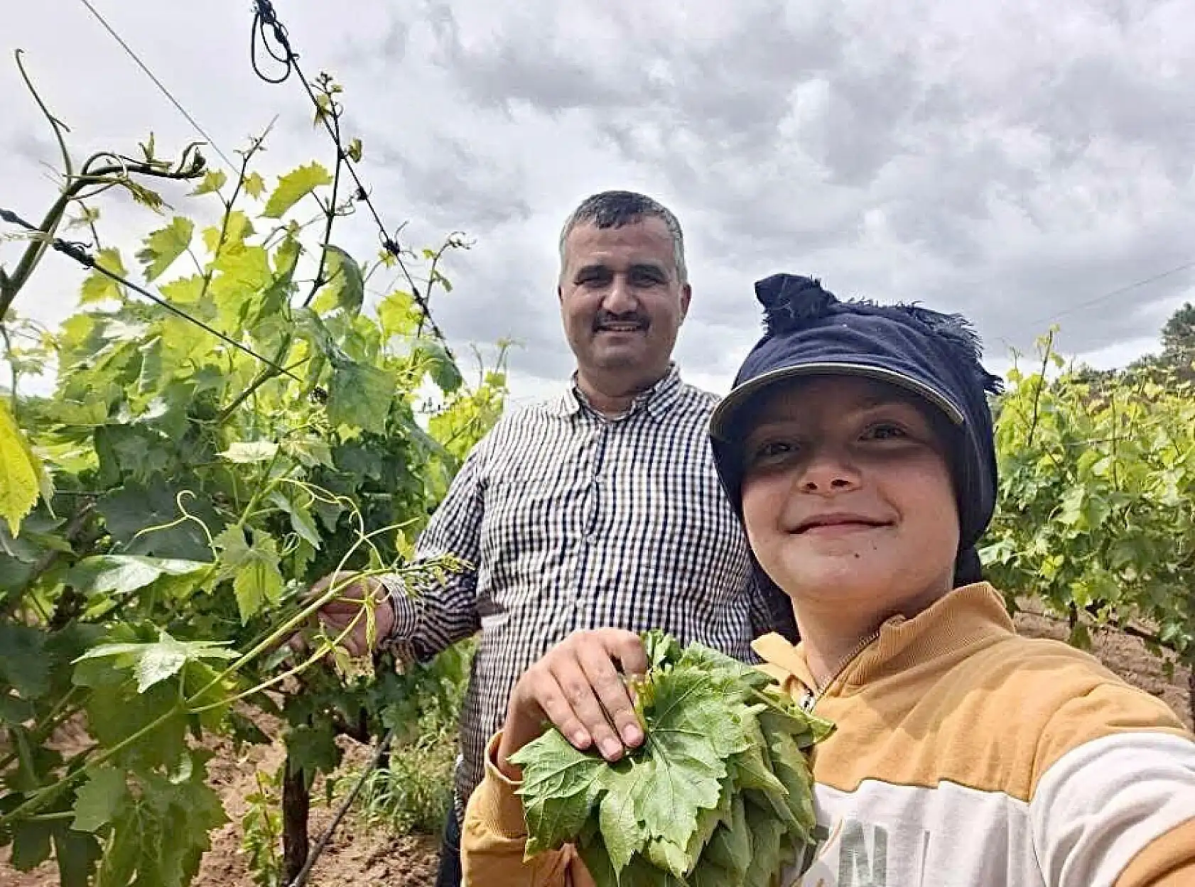 Bu yapraklar altın gibi! 850 TL yerine 1500 TL kazanıyorlar!