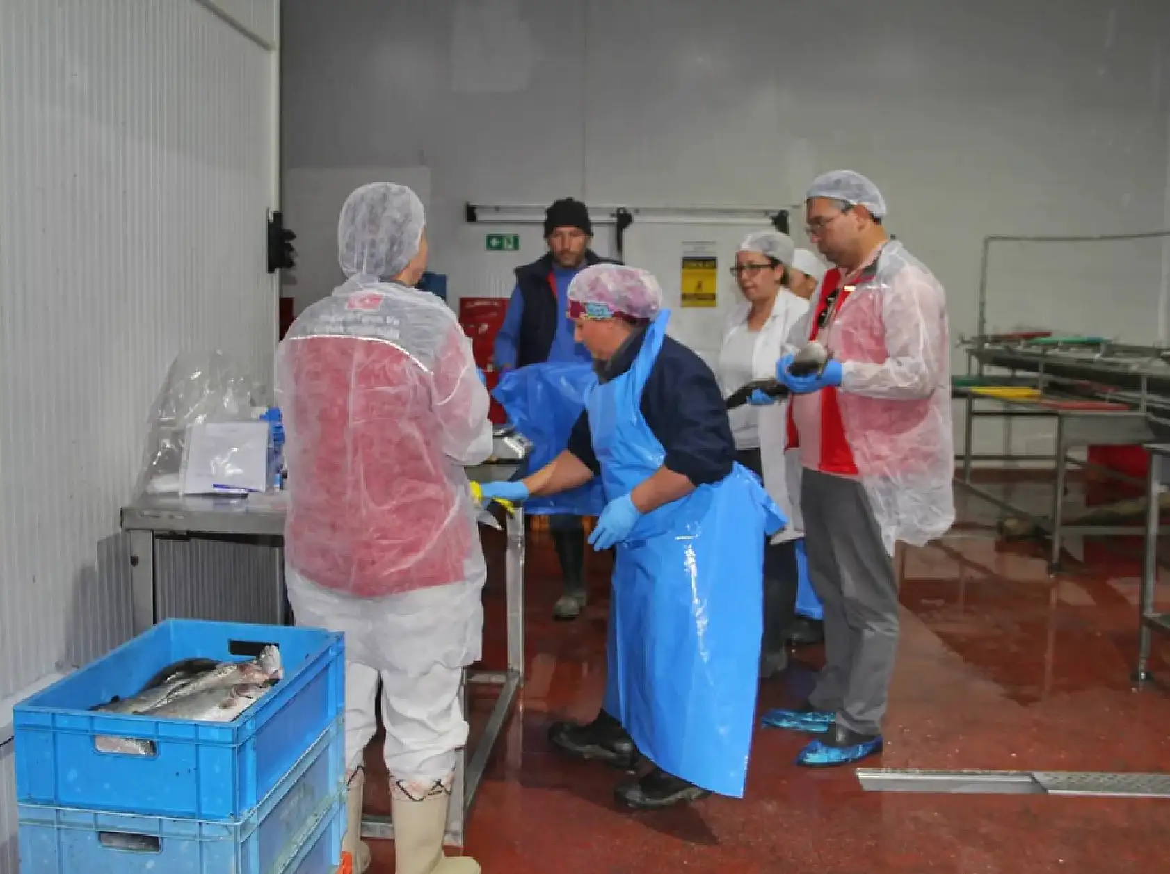 Fethiye'den Sofralara Taze Balık Akıyor: Alabalık İhracatı Genişliyor!