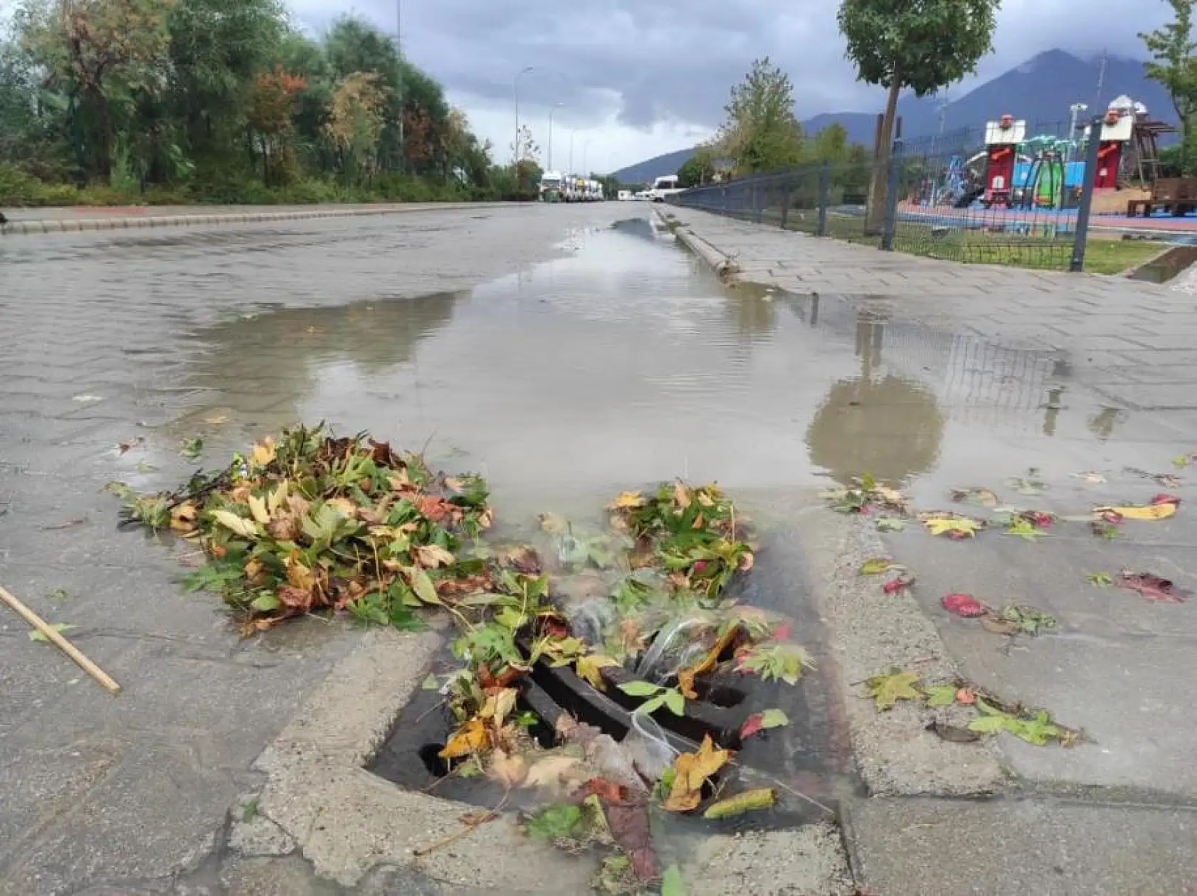 Fethiye'de seralar hasar gördü, ağaçlar devrildi