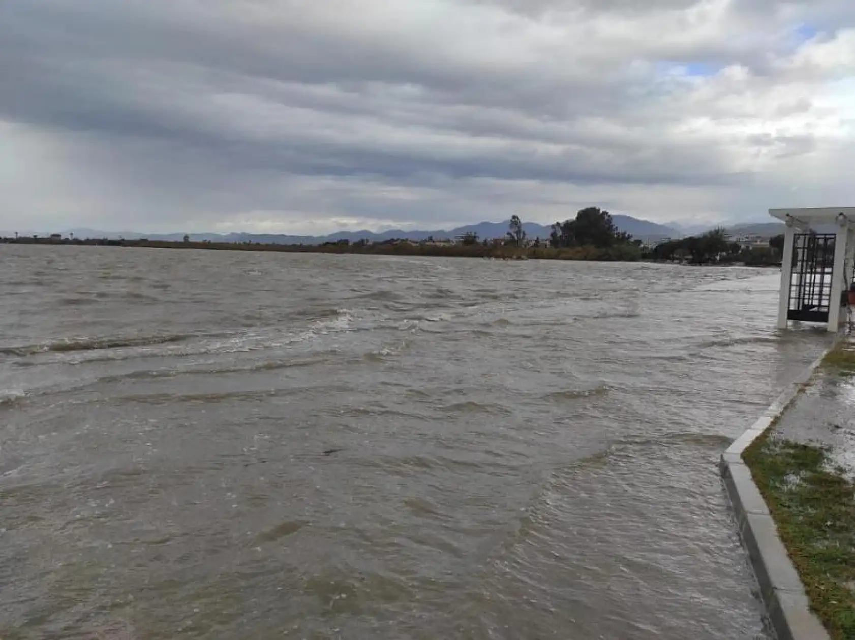 Fethiye'de seralar hasar gördü, ağaçlar devrildi