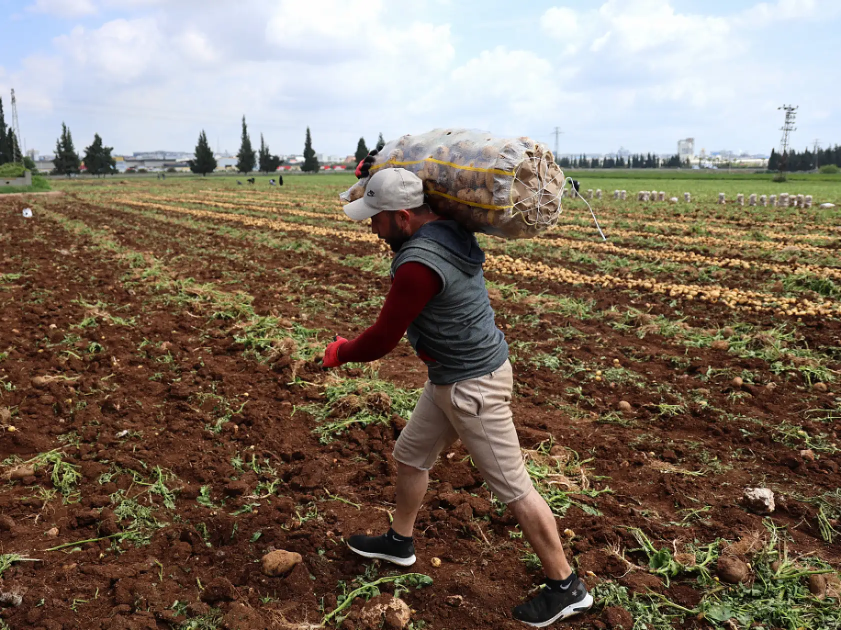 Bunlar özel işçiler: Günlük 250-300 ton patates yükleyip 2 bin 500 TL kazanıyorlar