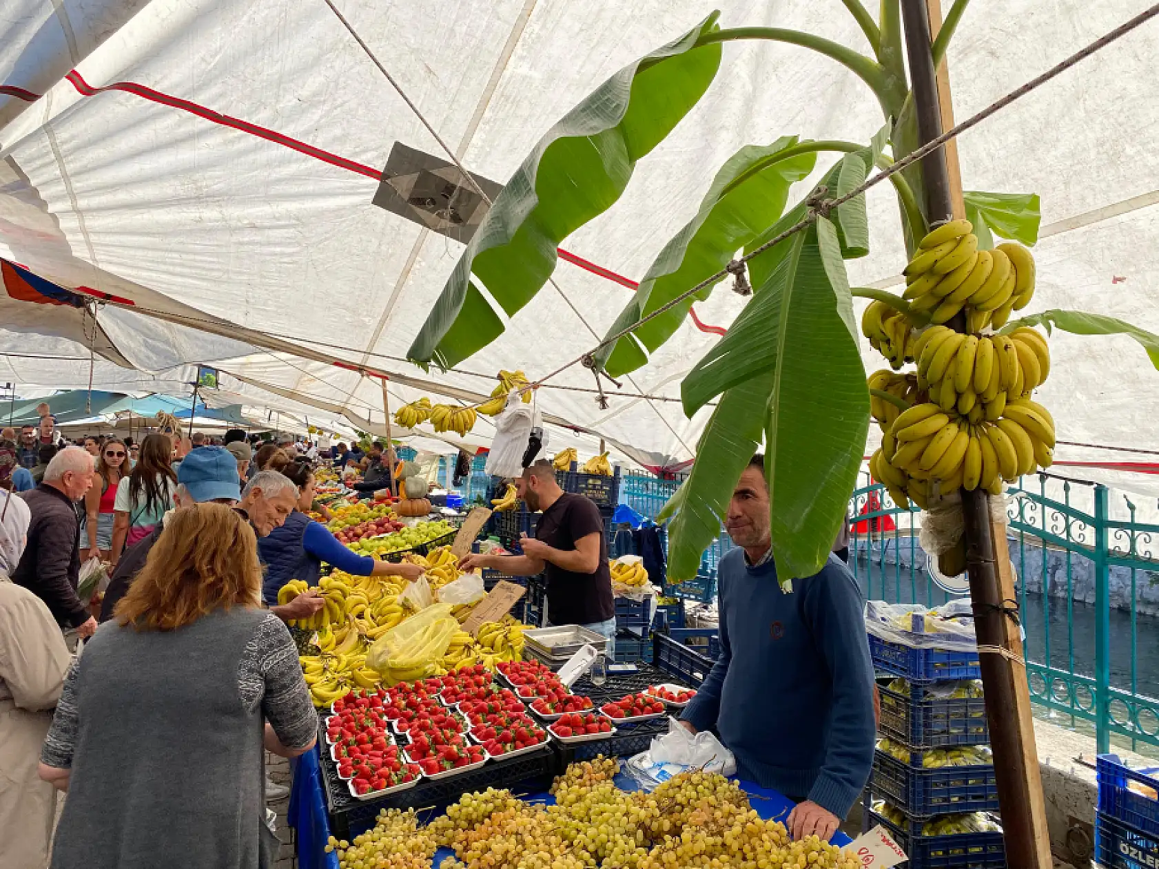 Fethiye'de yenilikçi muz tezgahı 