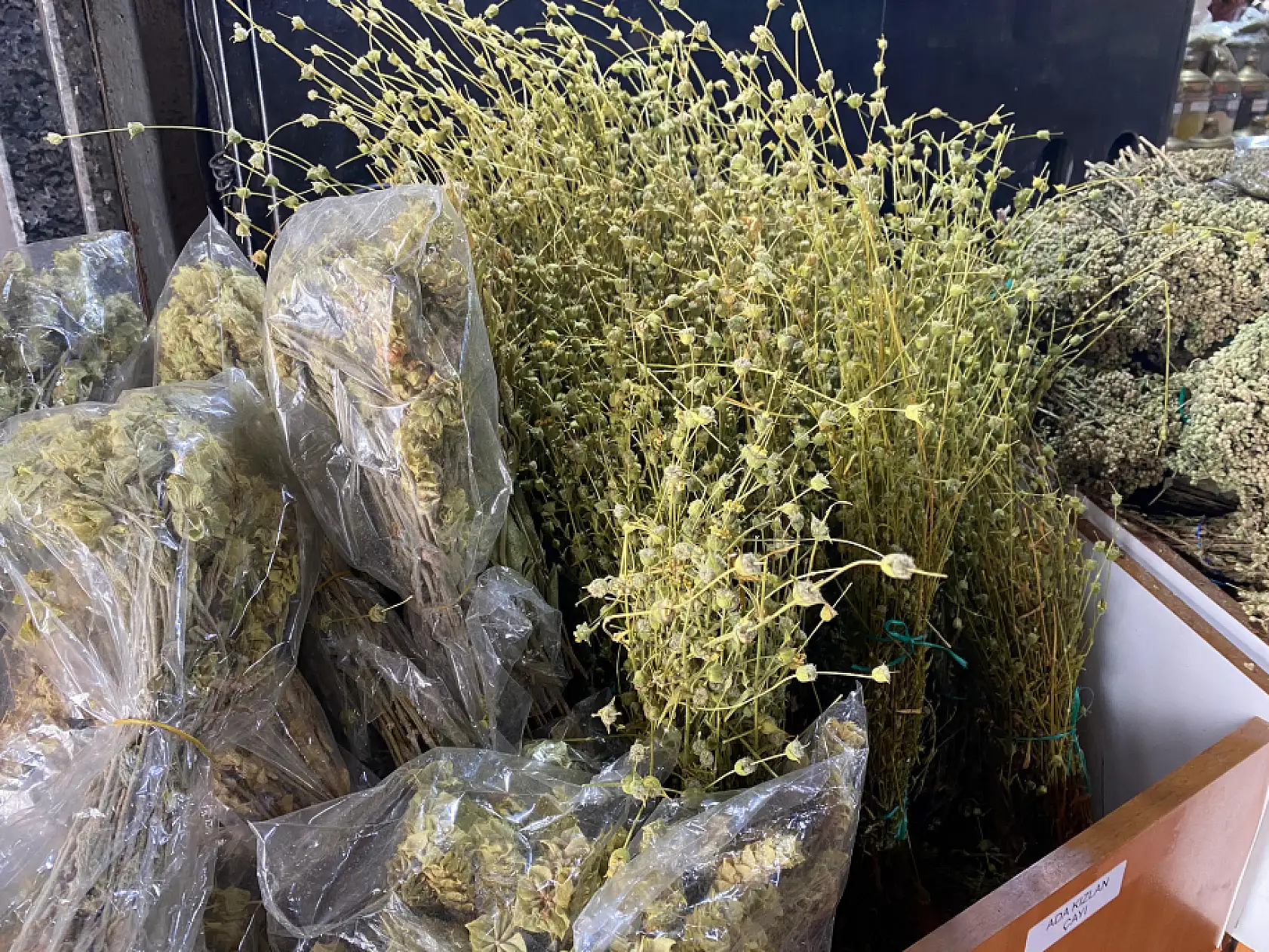 Fethiye'ye kışın gelmesi tedirgin etmesin: Aktar Topçu, hastalıklara karşı önerilerde bulundu