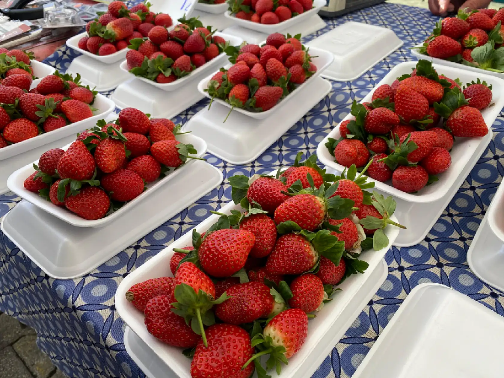 Fethiye Salı Pazarı'nda Çilek Satışı Başladı