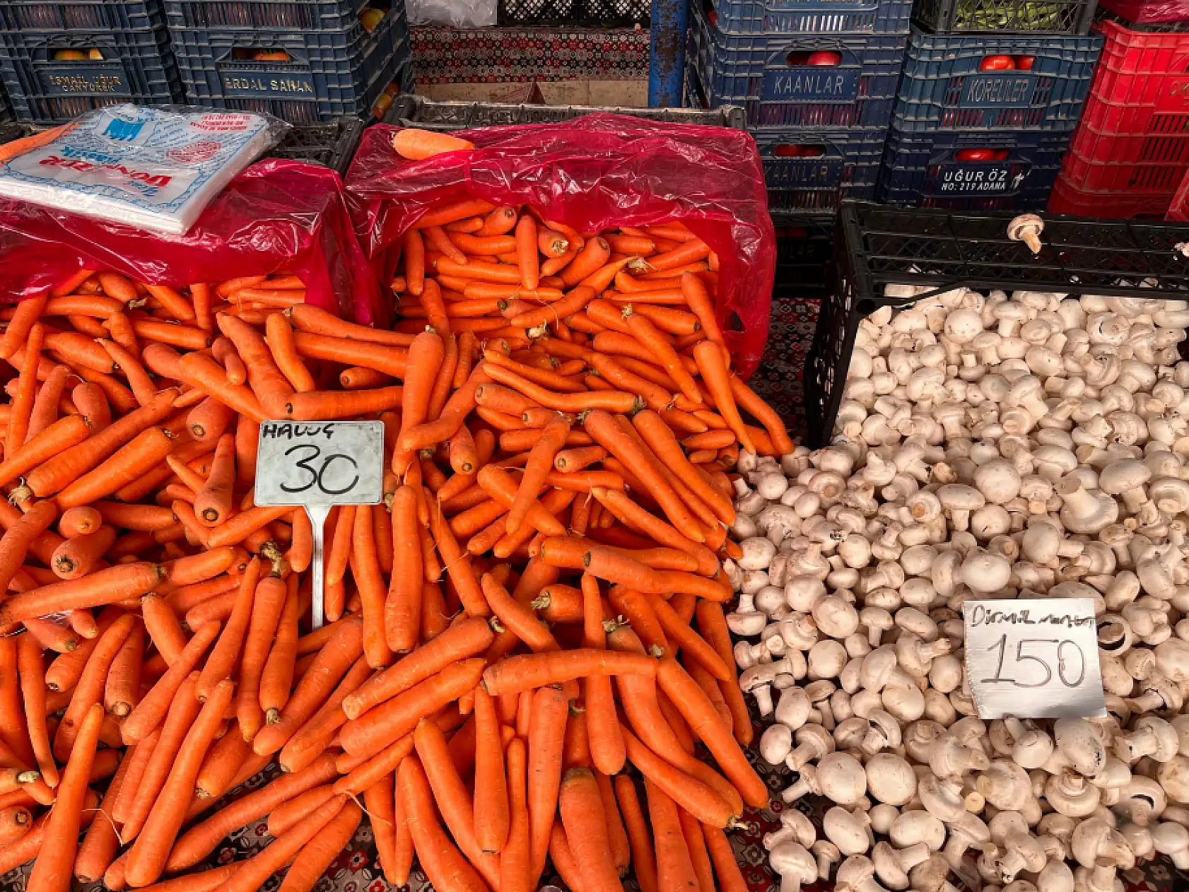 Fethiye Salı Pazarı'nda Güncel Meyve ve Sebze Fiyatları