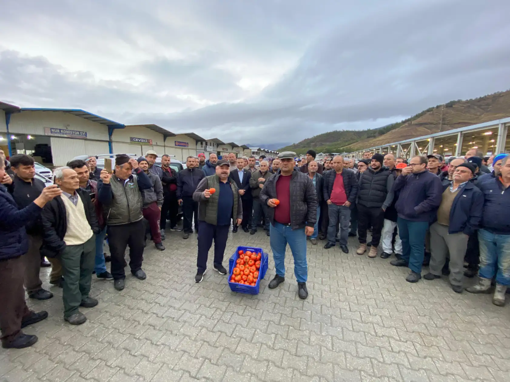 Fethiyeli Domates Üreticileri Fiyat Dengesizliğine İsyan Etti: Domates Toplamama Kararı