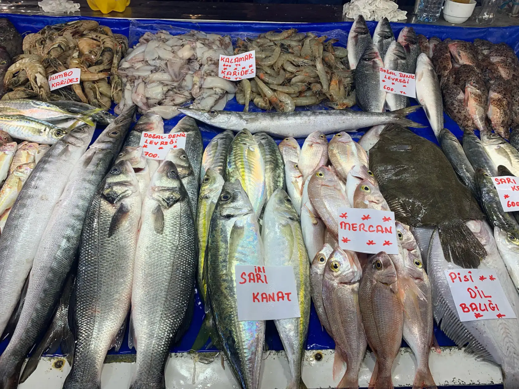 Fethiye'de av yasağı başladı, balık fiyatları yükseldi