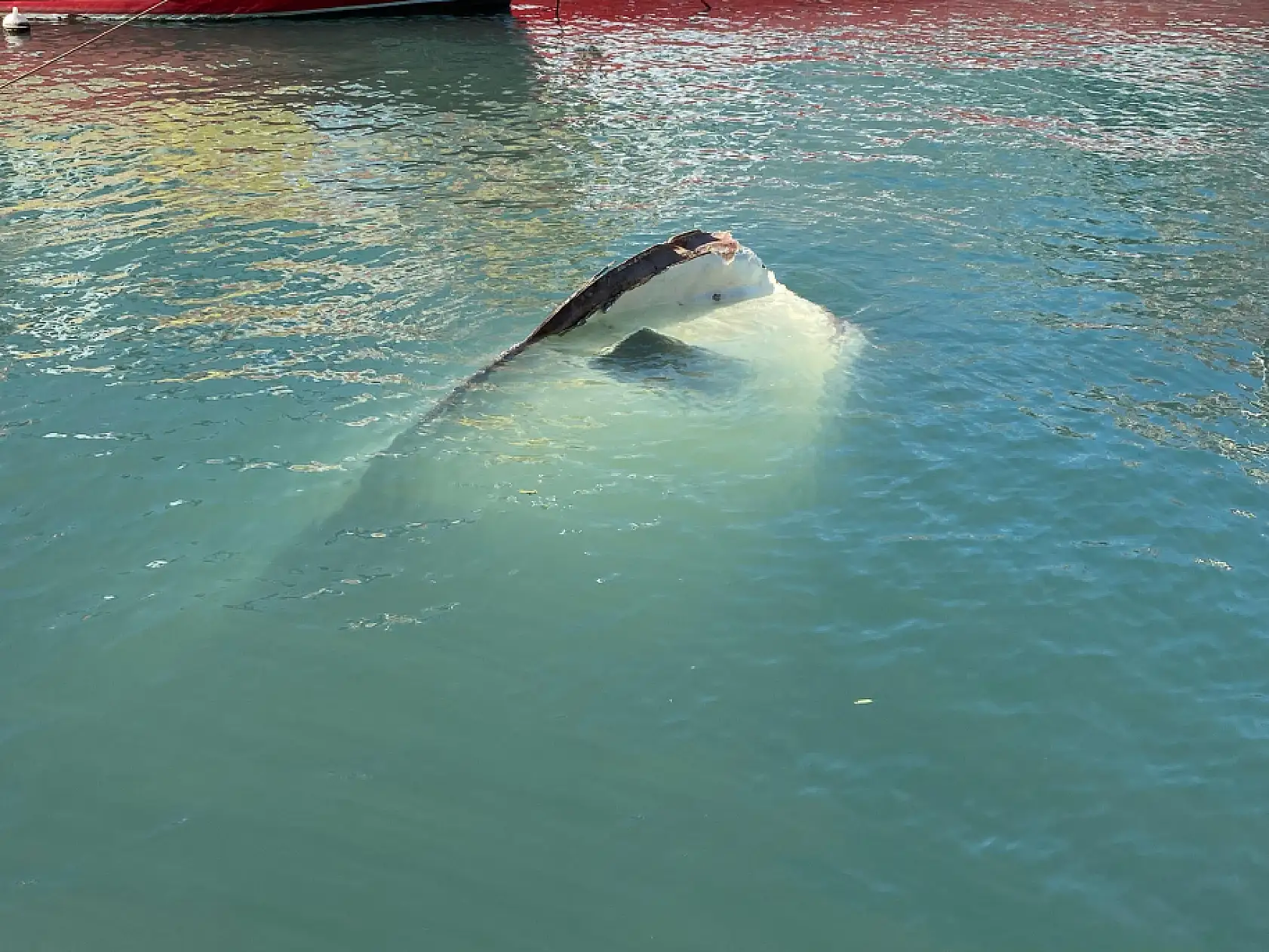 Fethiye'de şiddetli rüzgar tekneleri batırdı