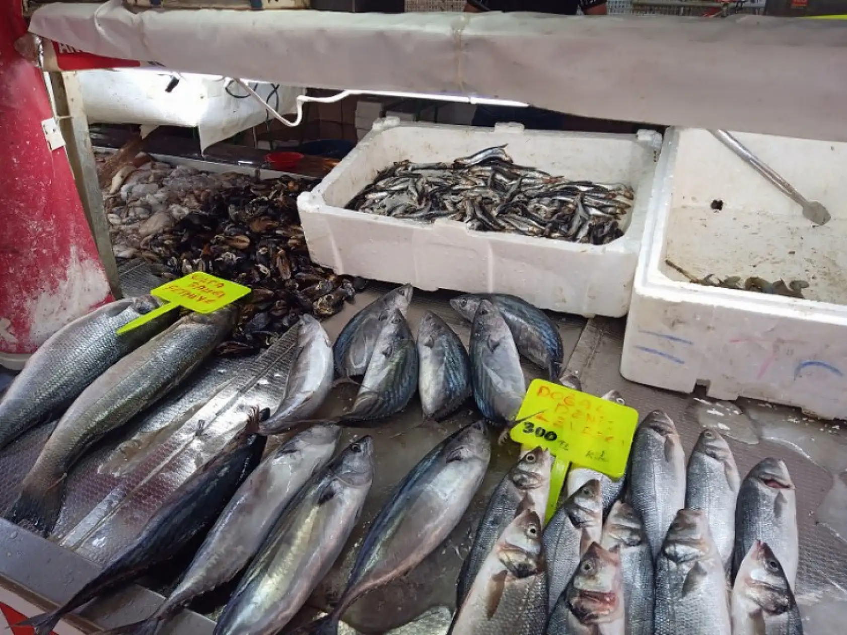 Fethiye Balık Pazarı'nda Fiyatlar Beklentileri Karşılamadı