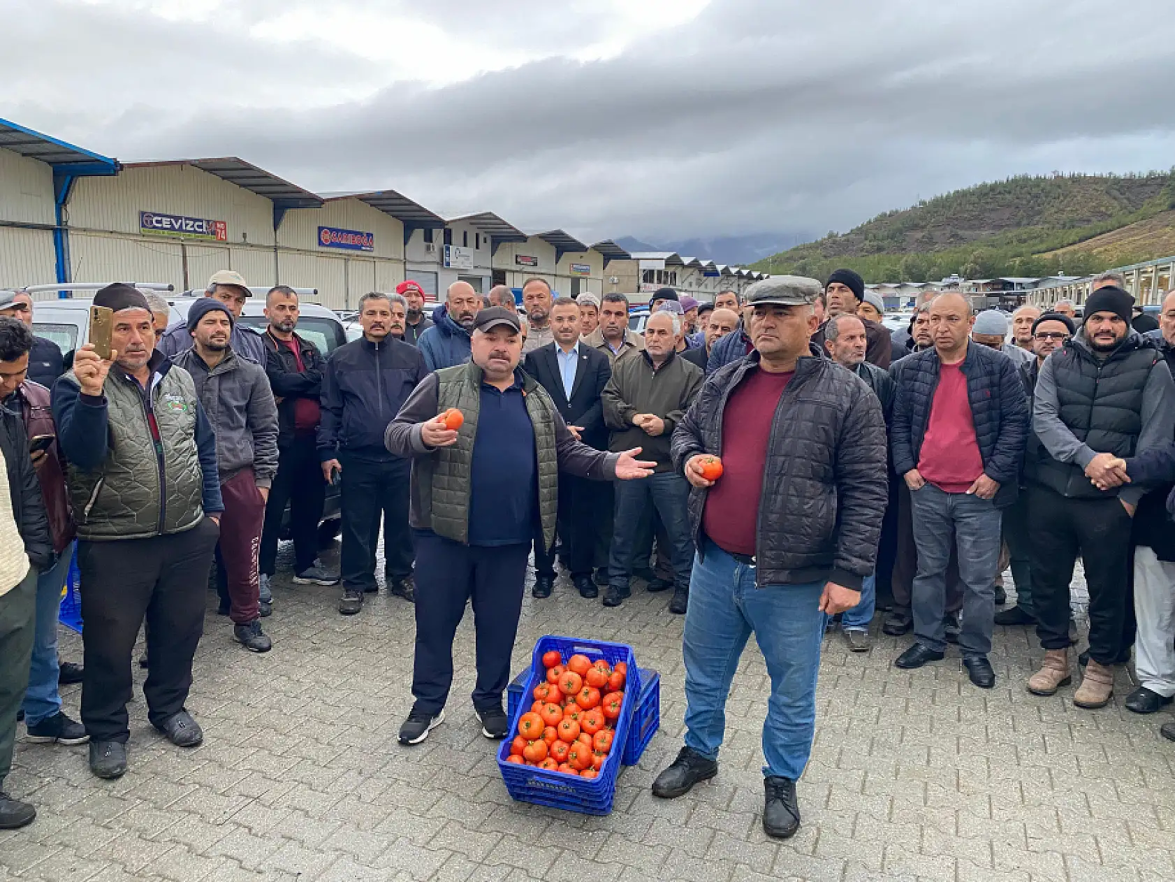 Fethiyeli Domates Üreticileri Fiyat Dengesizliğine İsyan Etti: Domates Toplamama Kararı