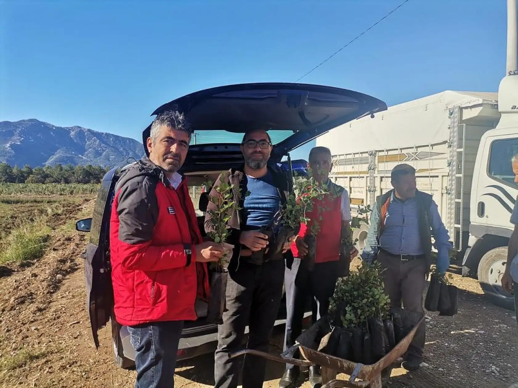 40 bin adet Keçiboynuzu Fidanı üreticilere dağıtıldı