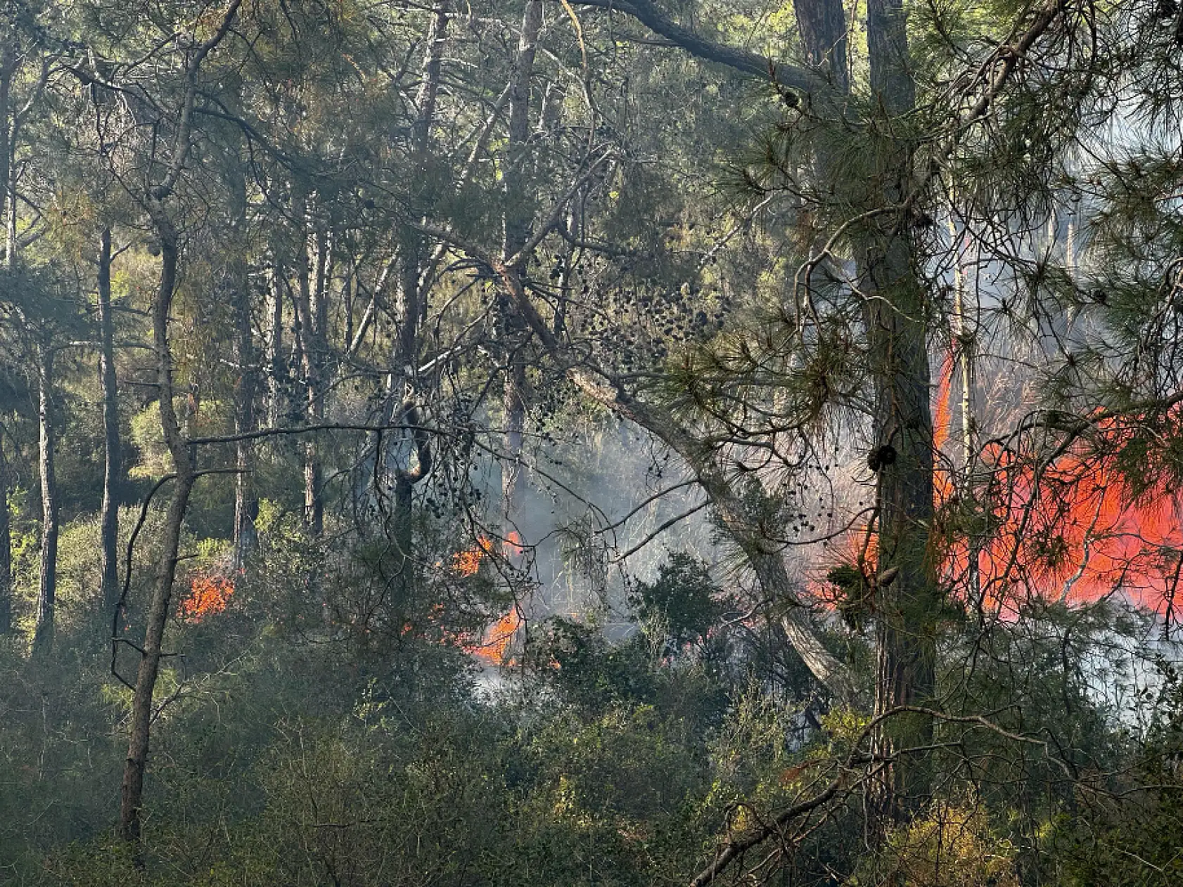 Fethiye Karaot Bölgesi'nde yangın meydana geldi