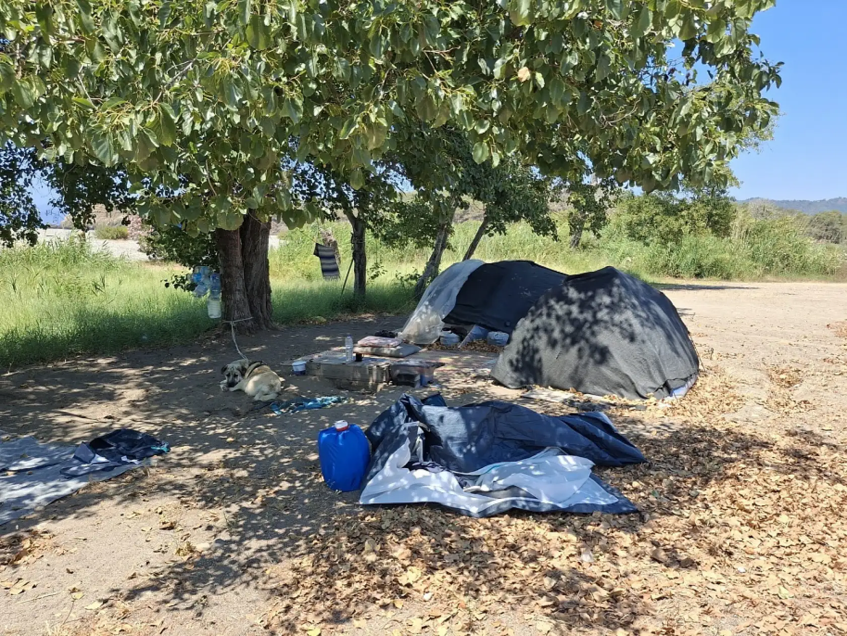 Fethiye Belediyesi'nden Ormanlık Alanlarda Çadır Denetimi