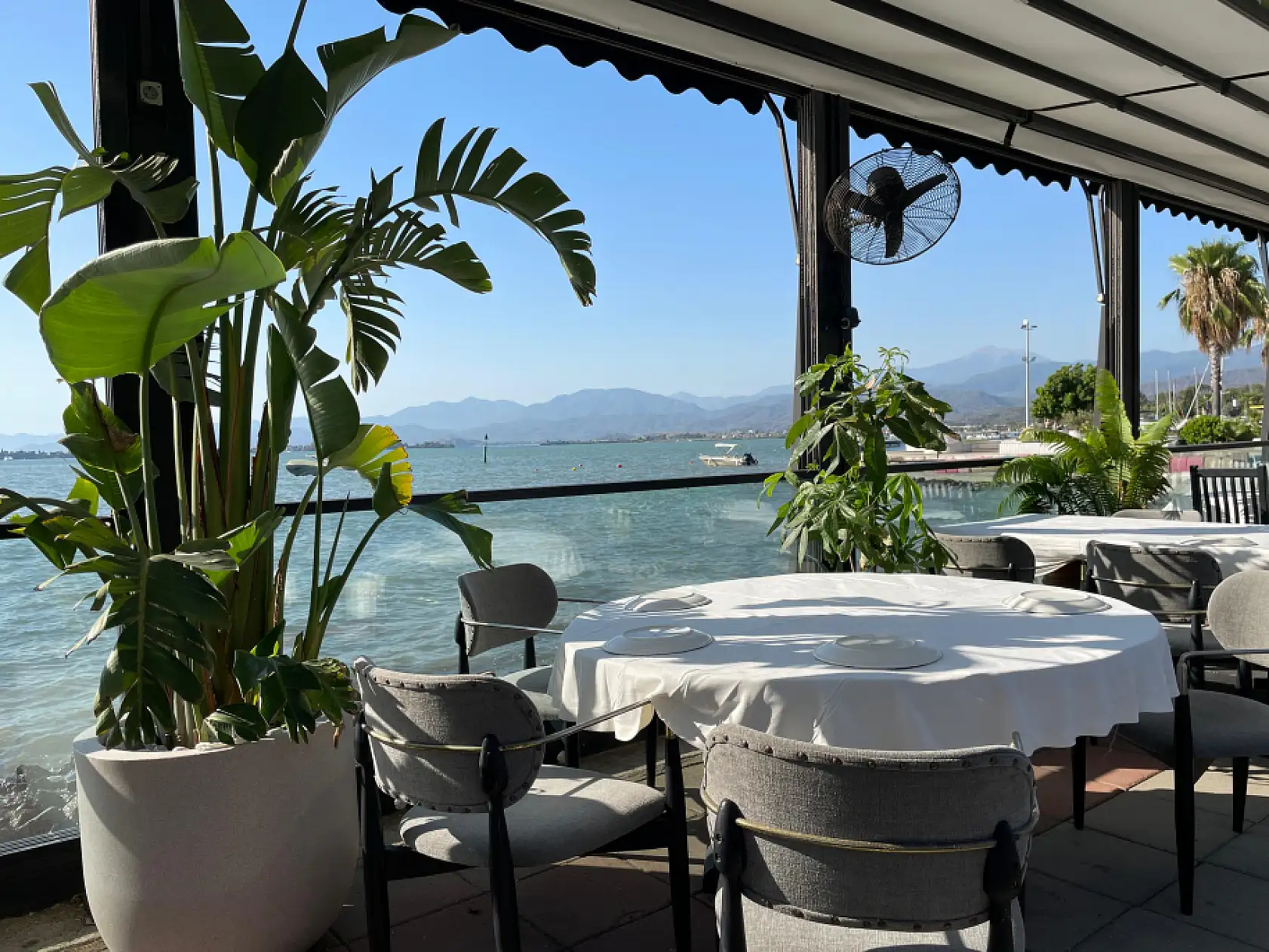 BarBunn Fethiye, Canlı Müzikle Misafirlerine Unutulmaz Deneyim Sunuyor